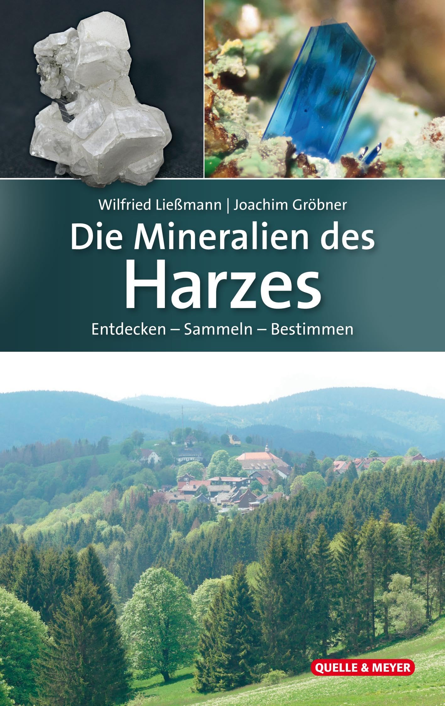 Product Image: Die Mineralien des Harzes