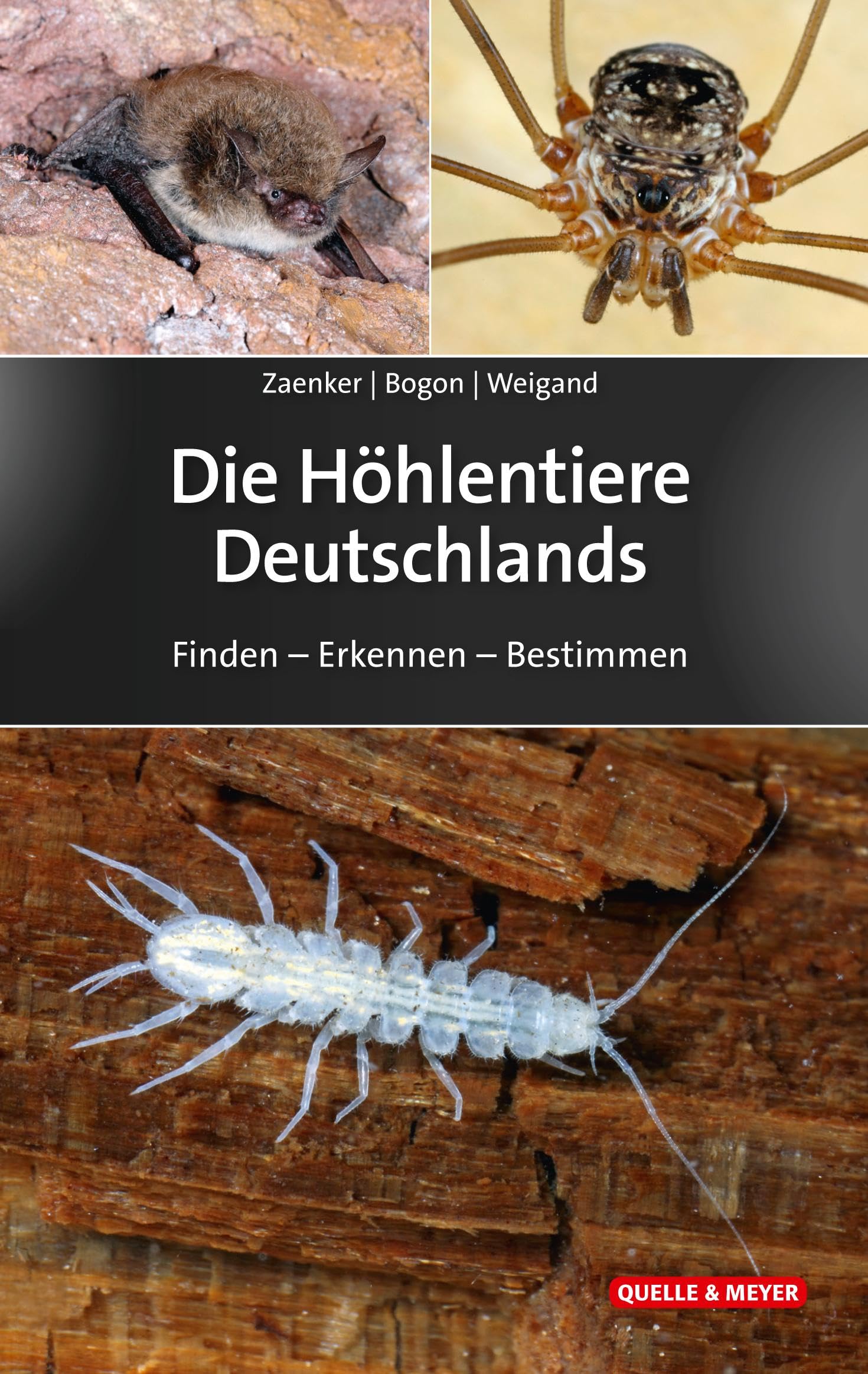Die Höhlentiere Deutschlands Leisure, Home & Garden