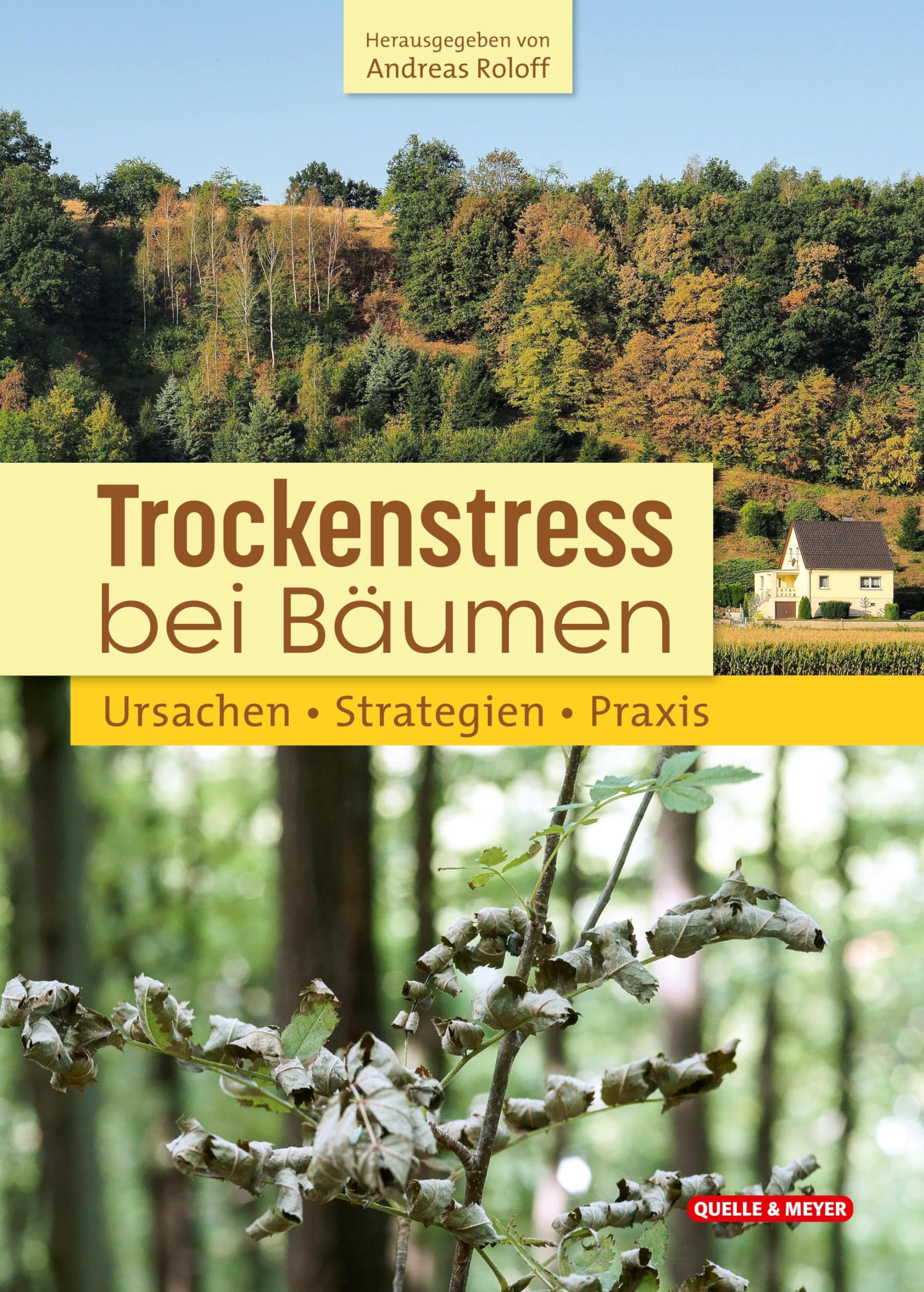 Trockenstress bei Bäumen Leisure, Home & Garden