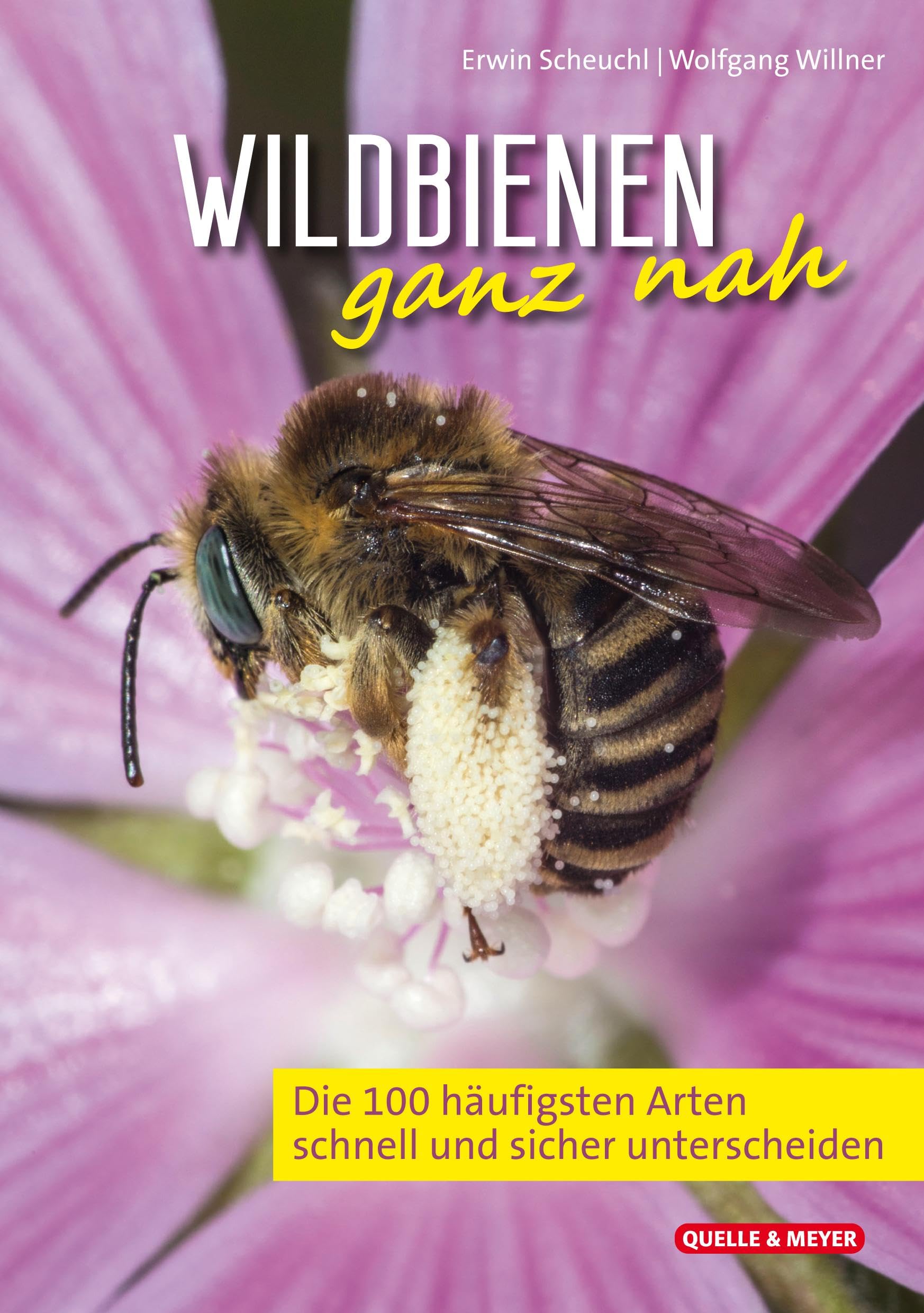 Product Image: Wildbienen ganz nah
