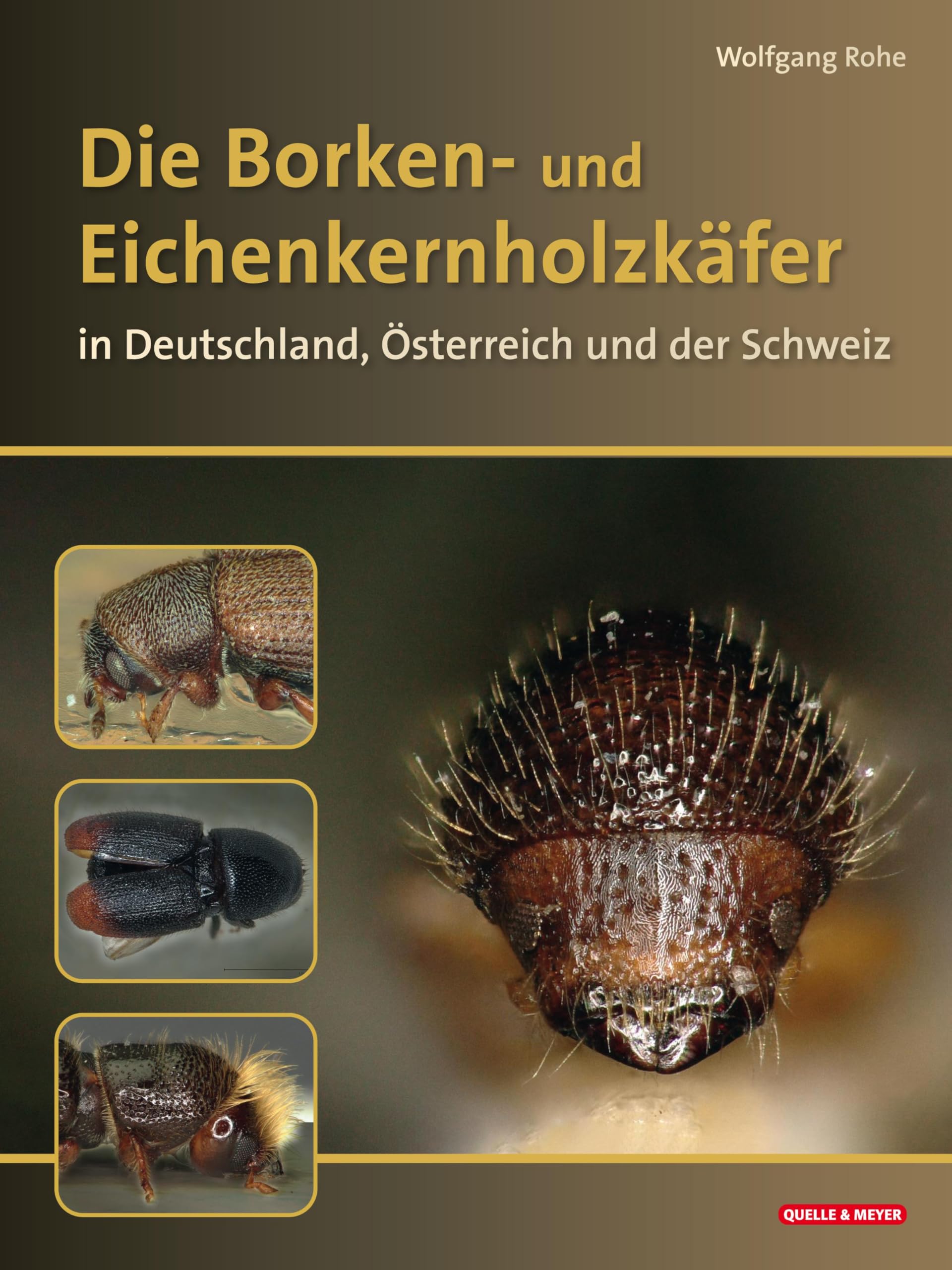 Die Borkenkäfer Deutschlands, Österreichs und der Schweiz Leisure, Home & Garden