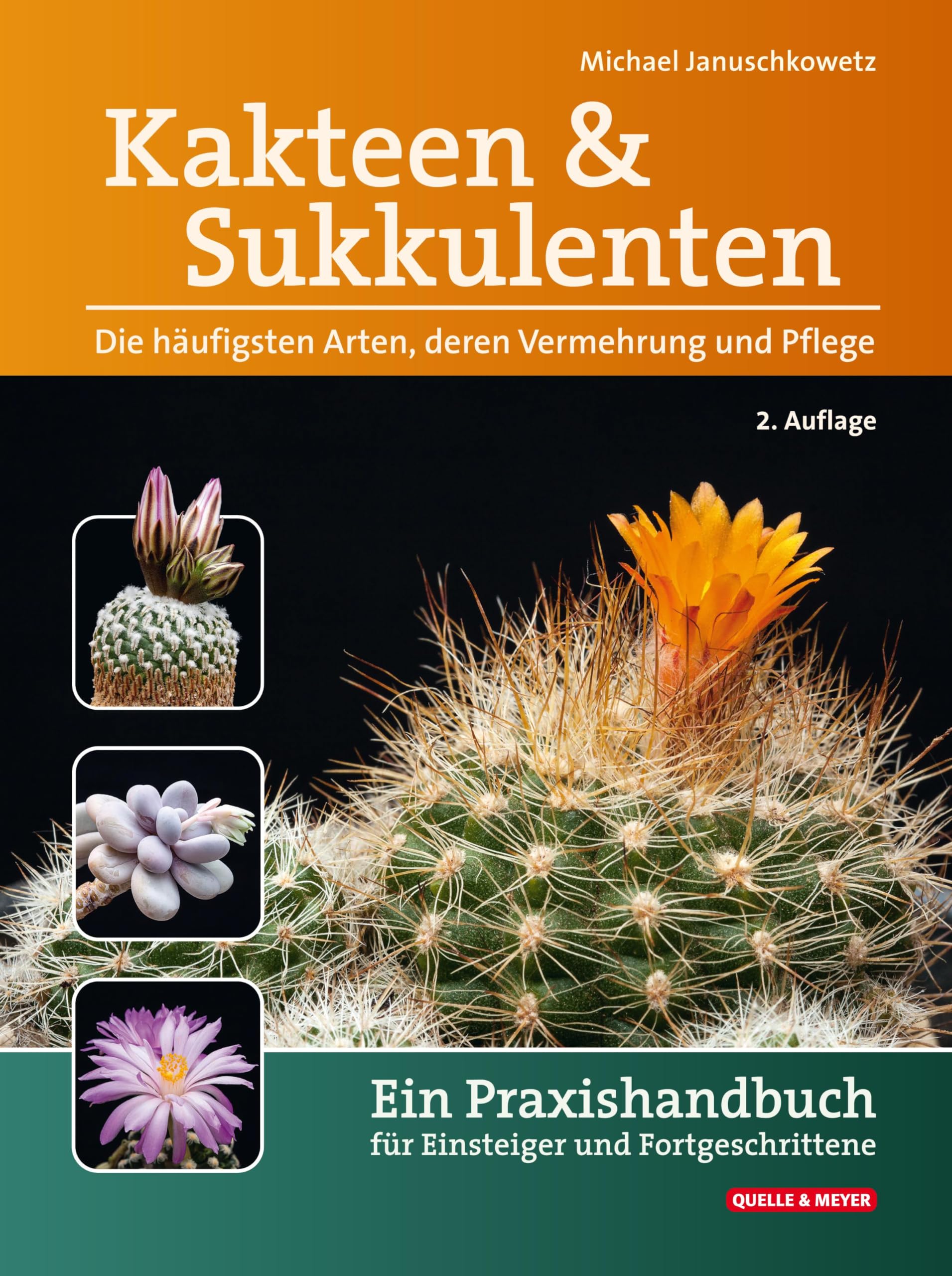 Kakteen und Sukkulenten - Die häufigsten Arten, deren Vermehrung und Pflege Garden & Plants