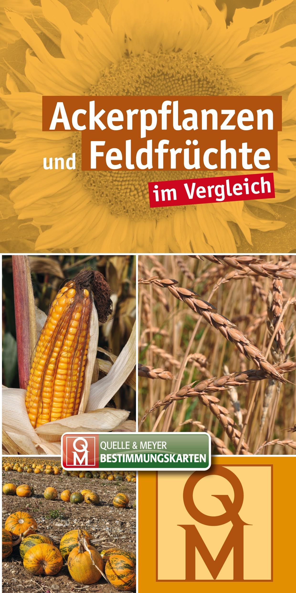 Ackerpflanzen und Feldfrüchte im Vergleich - 10er-Set Leisure, Home & Garden