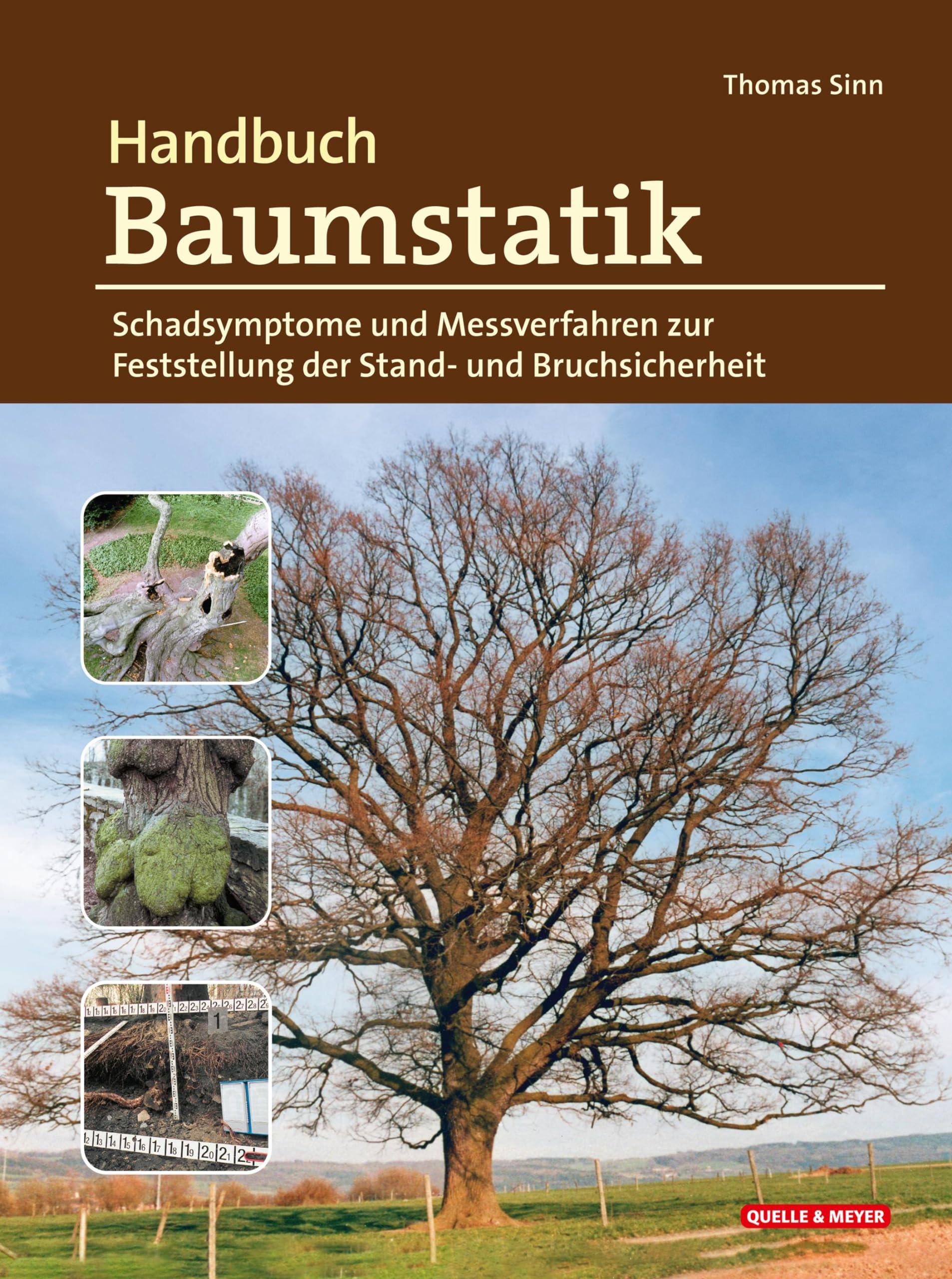Handbuch Baumstatik: Schadsymptome und Messverfahren zur Feststellung der Stand- und Bruchsicherheit Leisure, Home & Garden