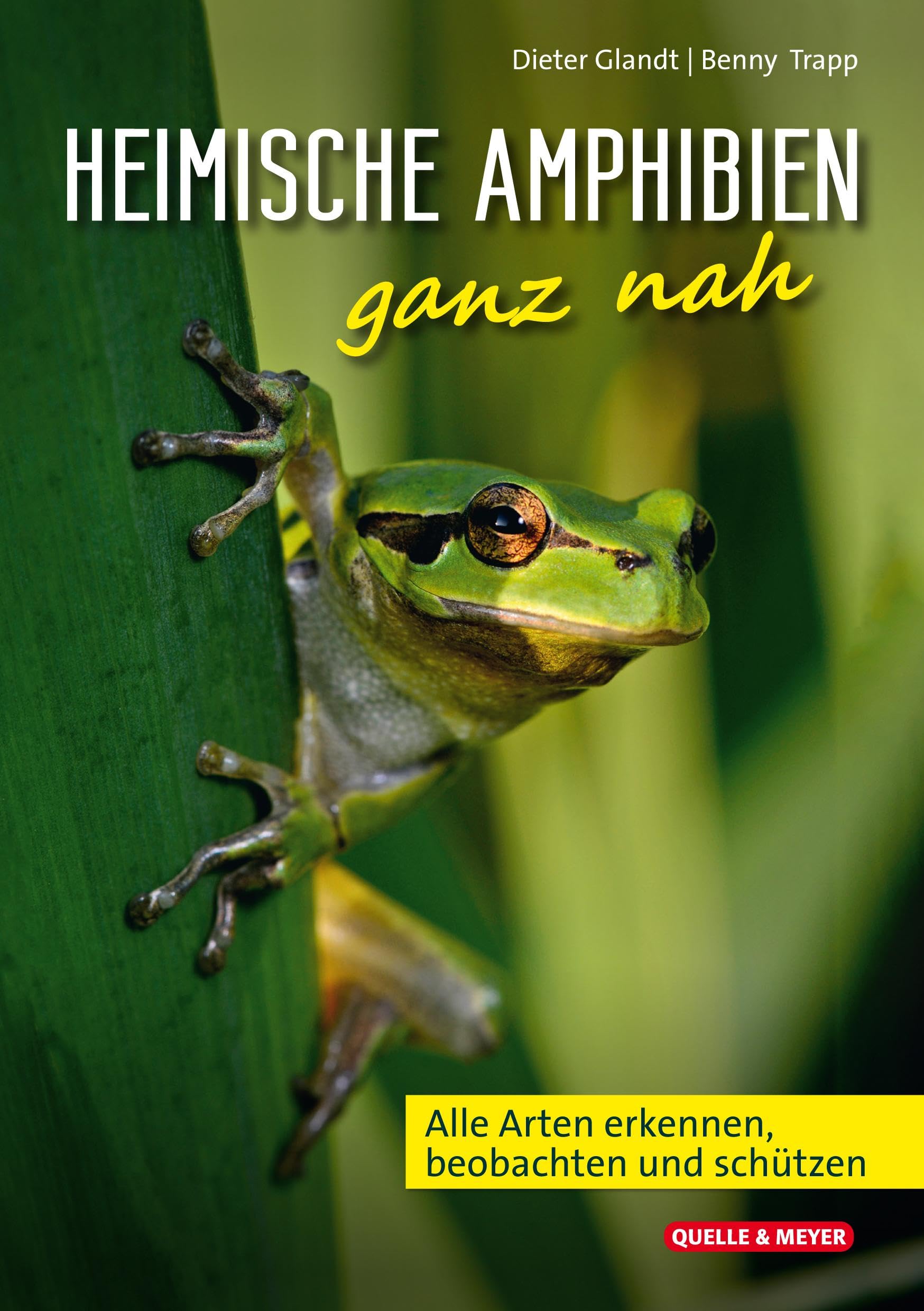 Heimische Amphibien ganz nah Leisure, Home & Garden