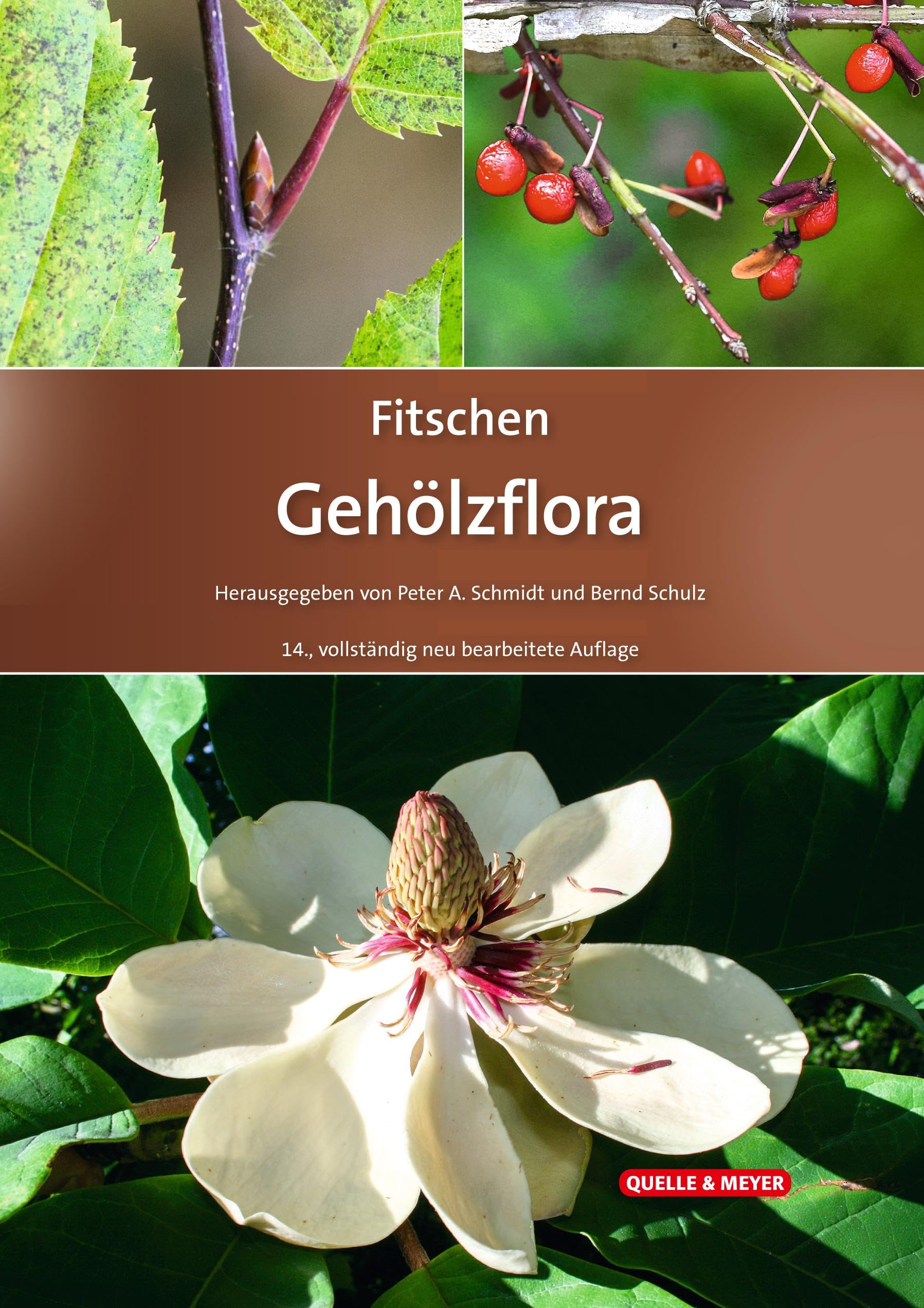 Fitschen – Gehölzflora: Ein Buch zum Bestimmen der in Mitteleuropa wild wachsenden und angepflanzten Bäume und Sträucher (Quelle & Meyer Bestimmungsbücher) Leisure, Home & Garden