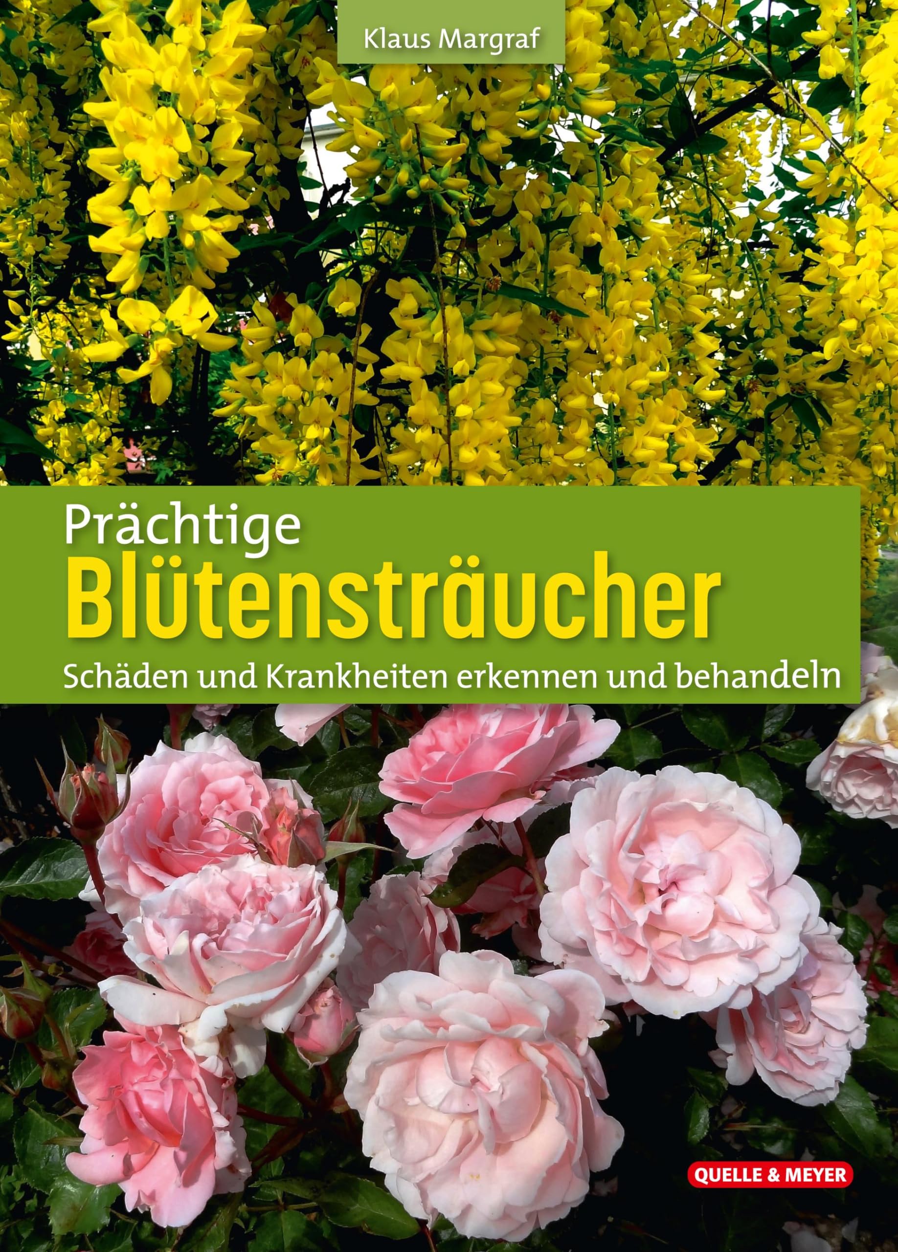 Product Image: Prächtige Blütensträucher
