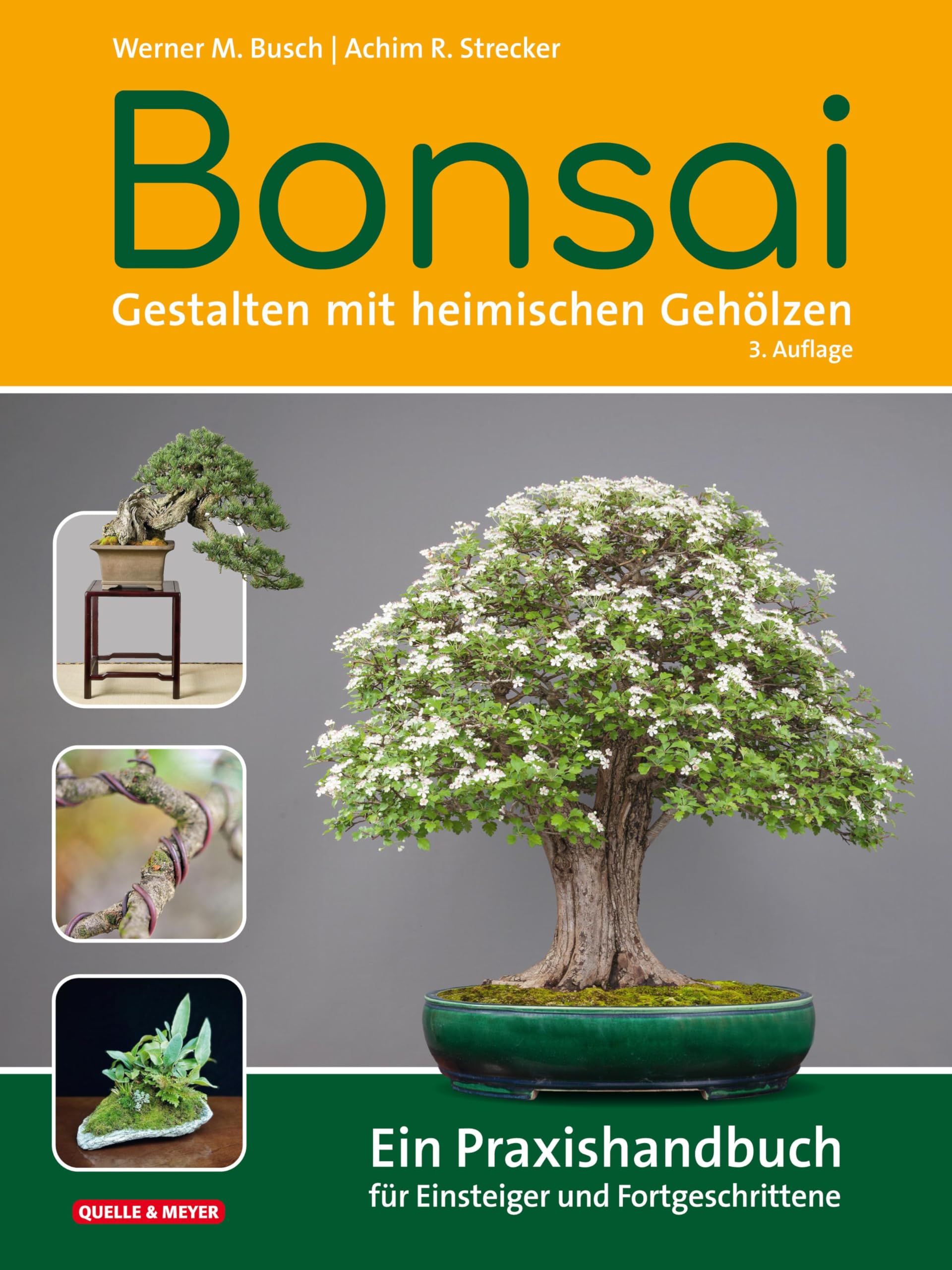 Bonsai - Gestalten mit heimischen Gehölzen Garden & Plants