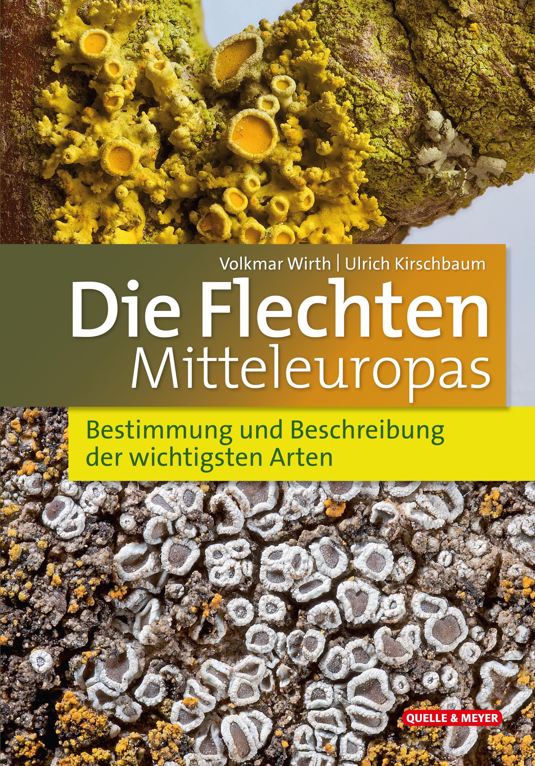 Die Flechten Mitteleuropas: Bestimmung und Beschreibung der wichtigsten Arten (Quelle & Meyer Bestimmungsbücher) Leisure, Home & Garden