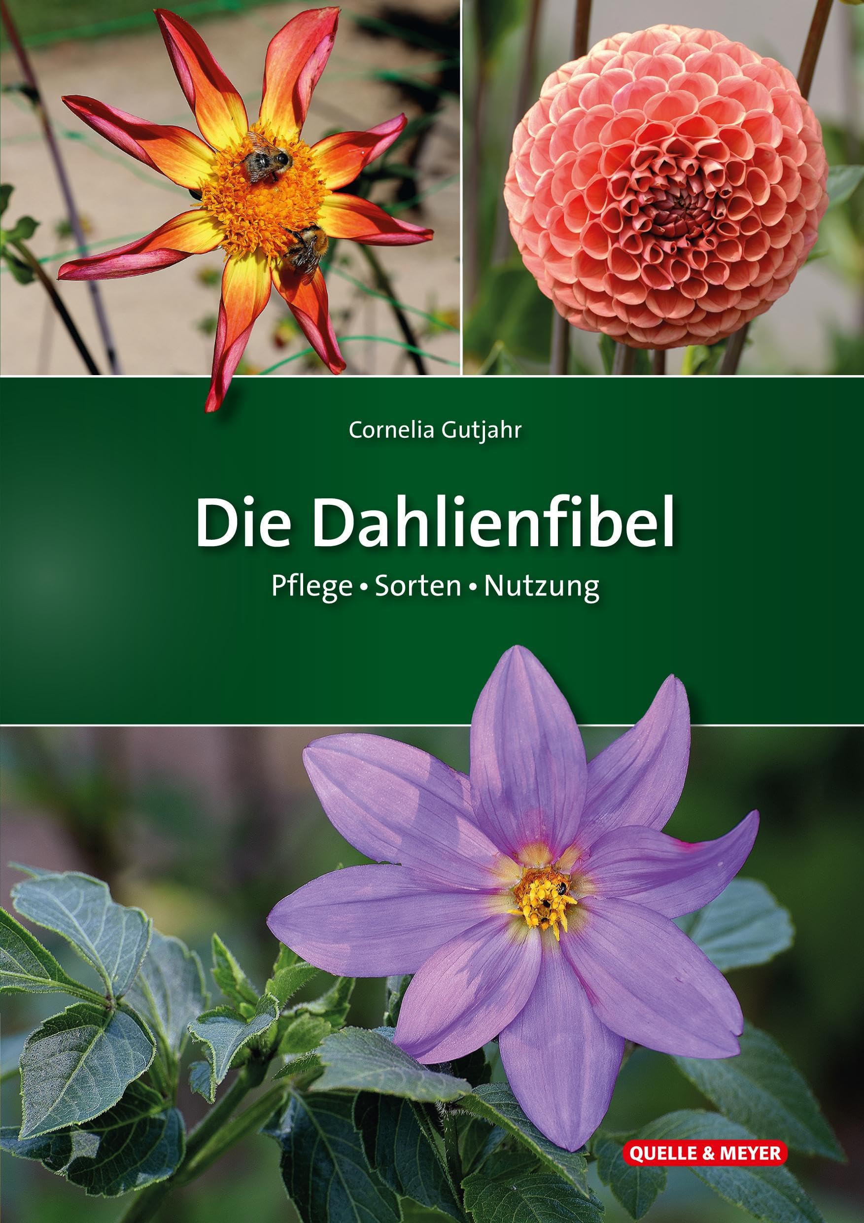 Product Image: Die Dahlienfibel