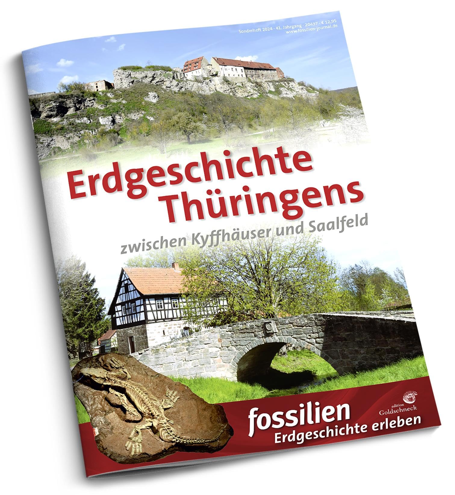 Erdgeschichte Thüringens: zwischen Kyffhäuser und Saalfeld Leisure, Home & Garden