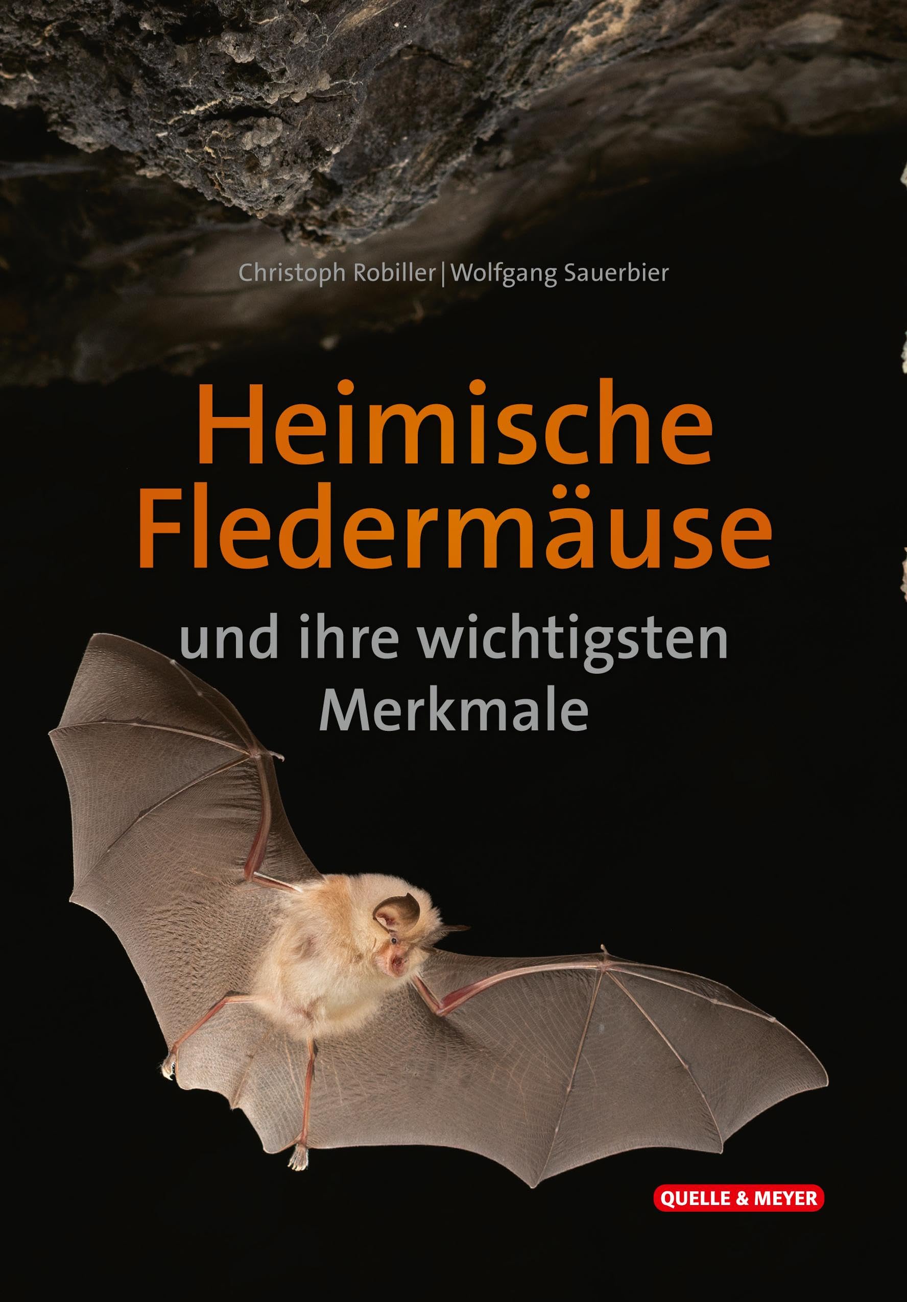 Heimische Fledermäuse und ihre wichtigsten Merkmale (Quelle & Meyer Bestimmungskarten) Leisure, Home & Garden