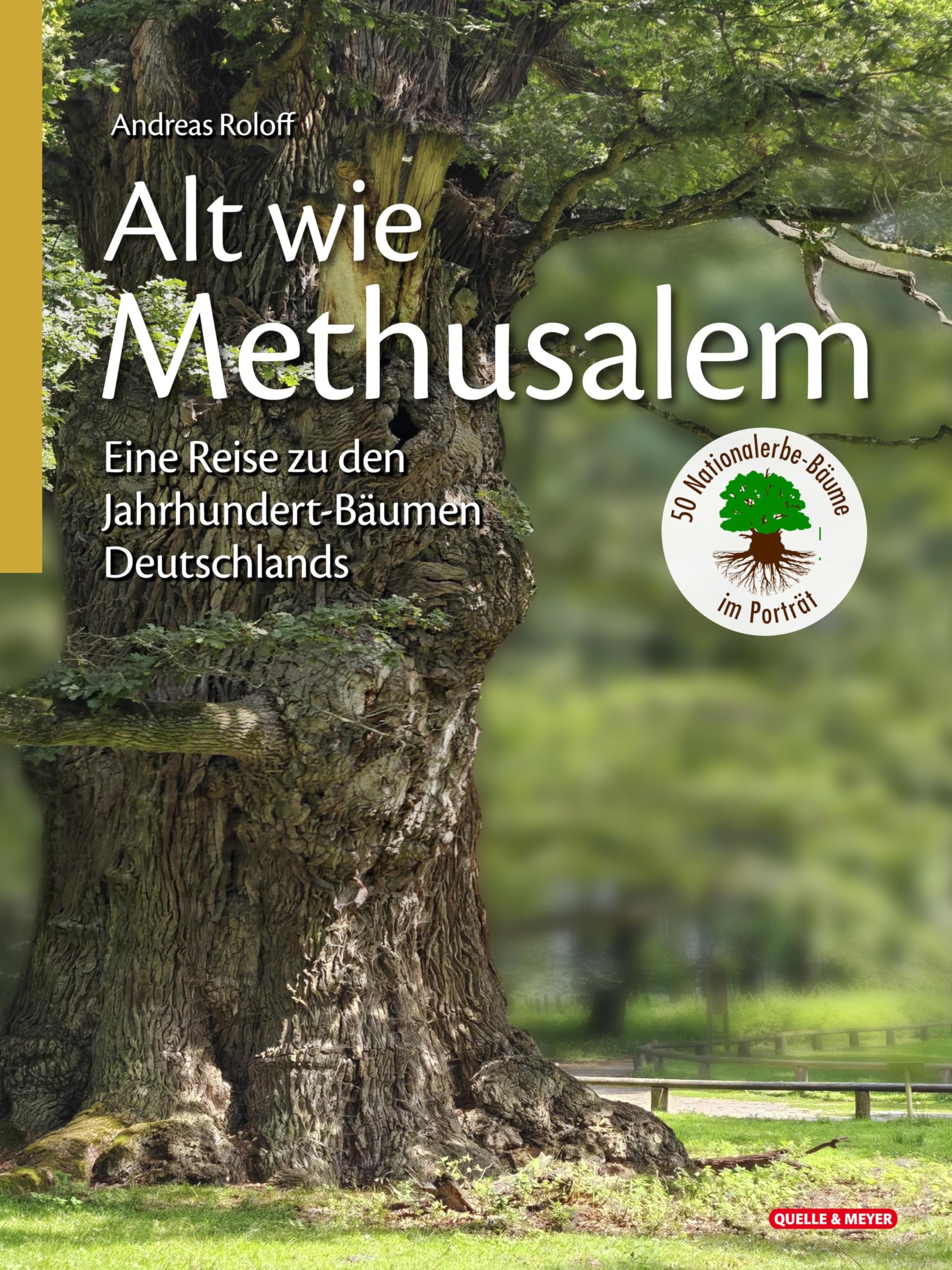 Alt wie Methusalem - Eine Reise zu den Jahrhundert-Bäumen Deutschlands Leisure, Home & Garden