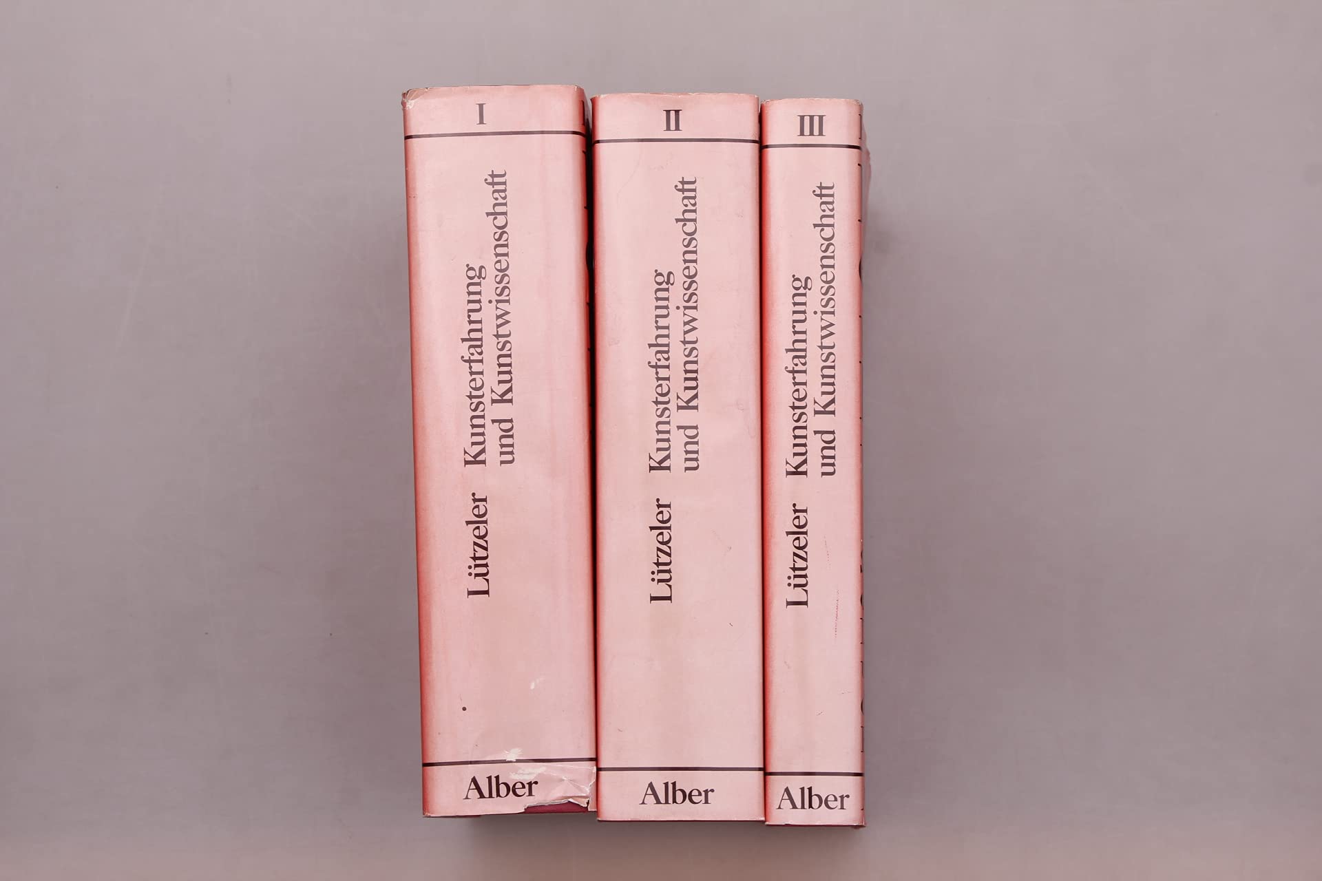 Kunsterfahrung und Kunstwissenschaft: Systematische und entwicklungsgeschichtliche Darstellung und Dokumentation des Umgangs mit der Bildenden Kunst ... Wissenschaft in Dokumenten und Darstellungen) Art & Literature Books