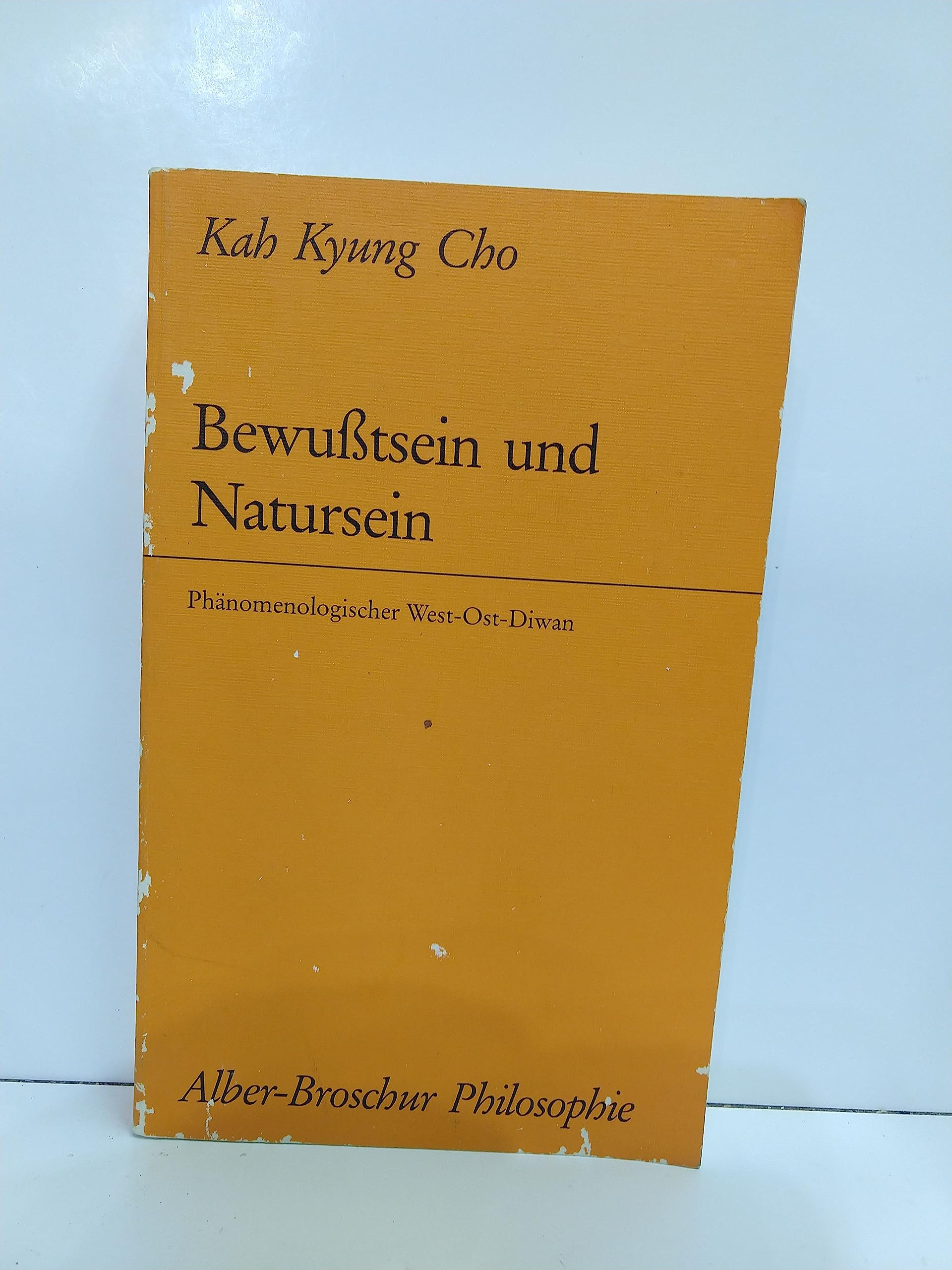 Bewusstsein und Natursein: Phänomenologischer West-Ost-Diwan (Alber-Broschur Philosophie) Philosophy