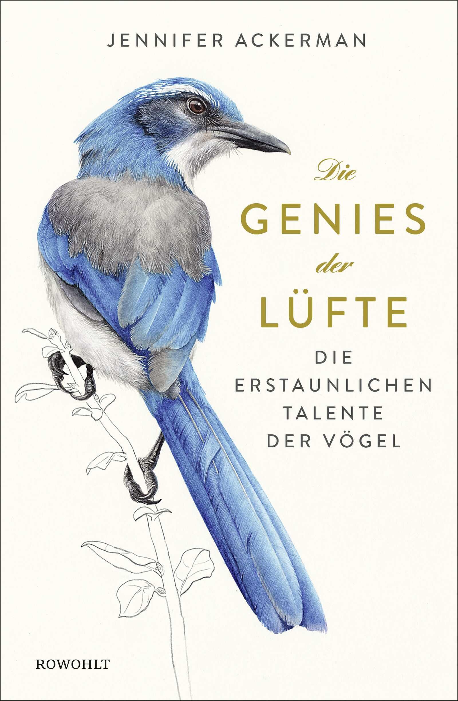 Die Genies der Lüfte Architecture Books