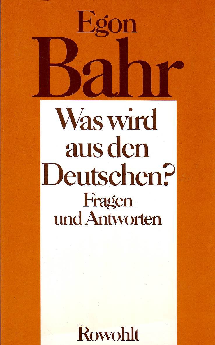 Was wird aus den Deutschen?: Fragen und Antworten (German Edition) book