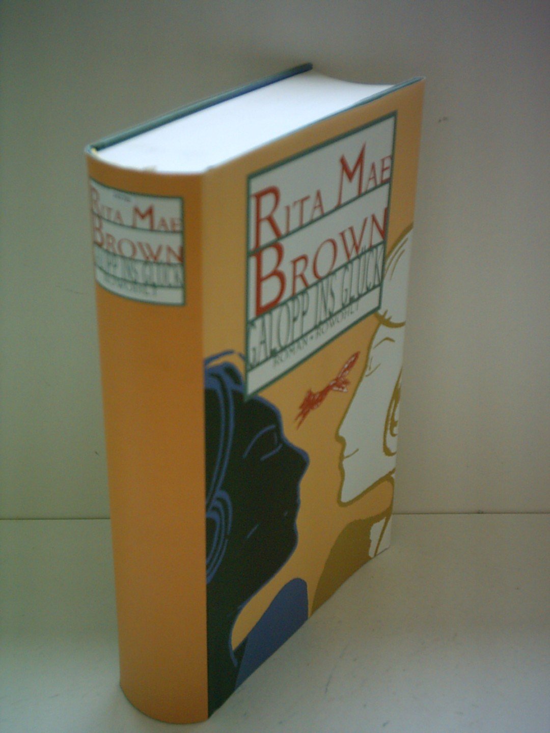 Galopp ins Glück: Roman Books
