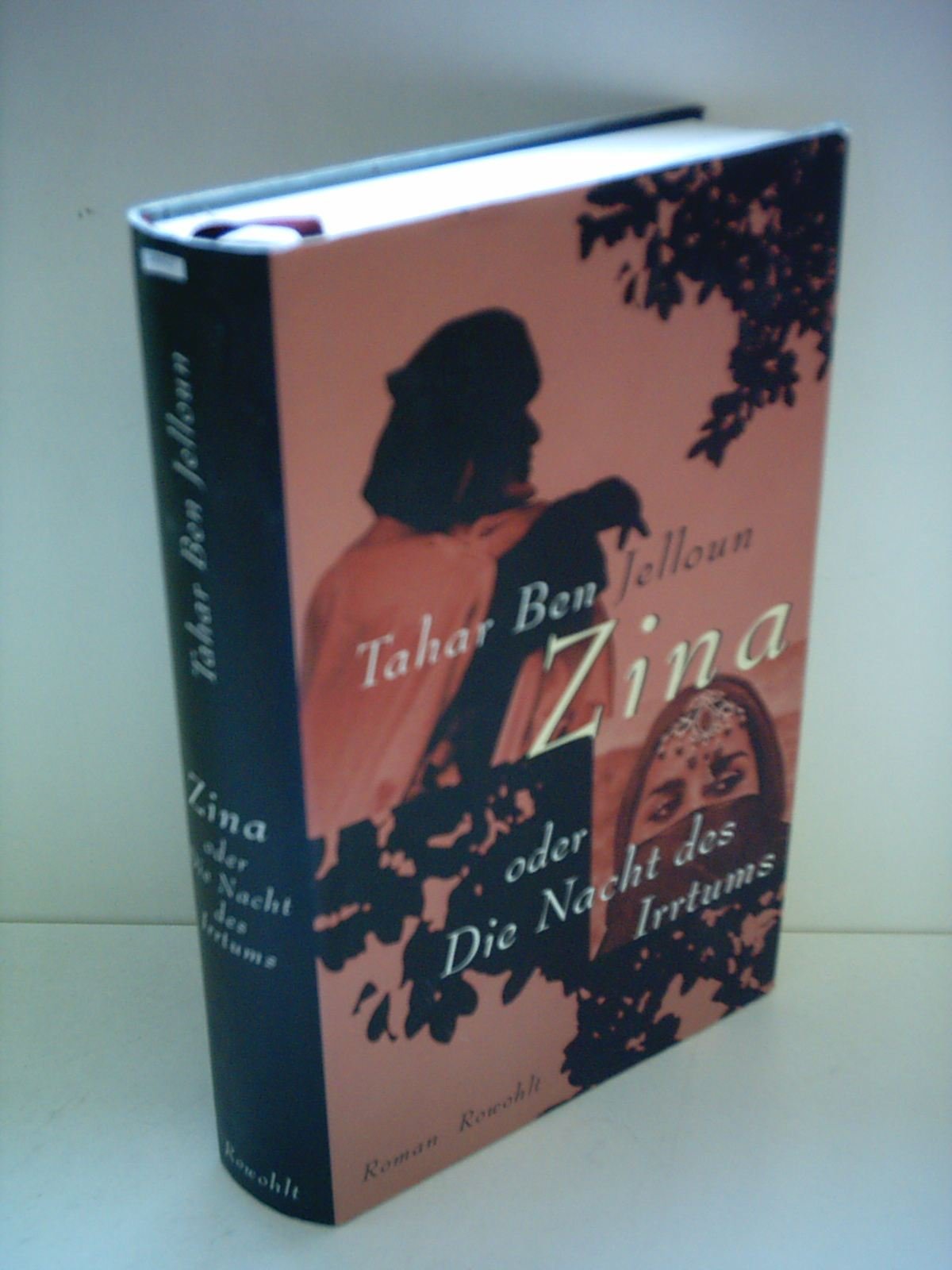 Zina oder Die Nacht des Irrtums: Roman Fiction