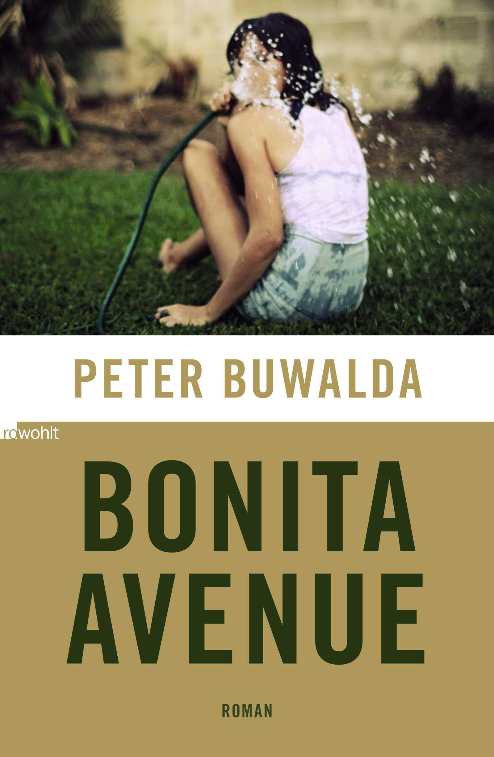 Bonita Avenue: Roman Contemporary literature
