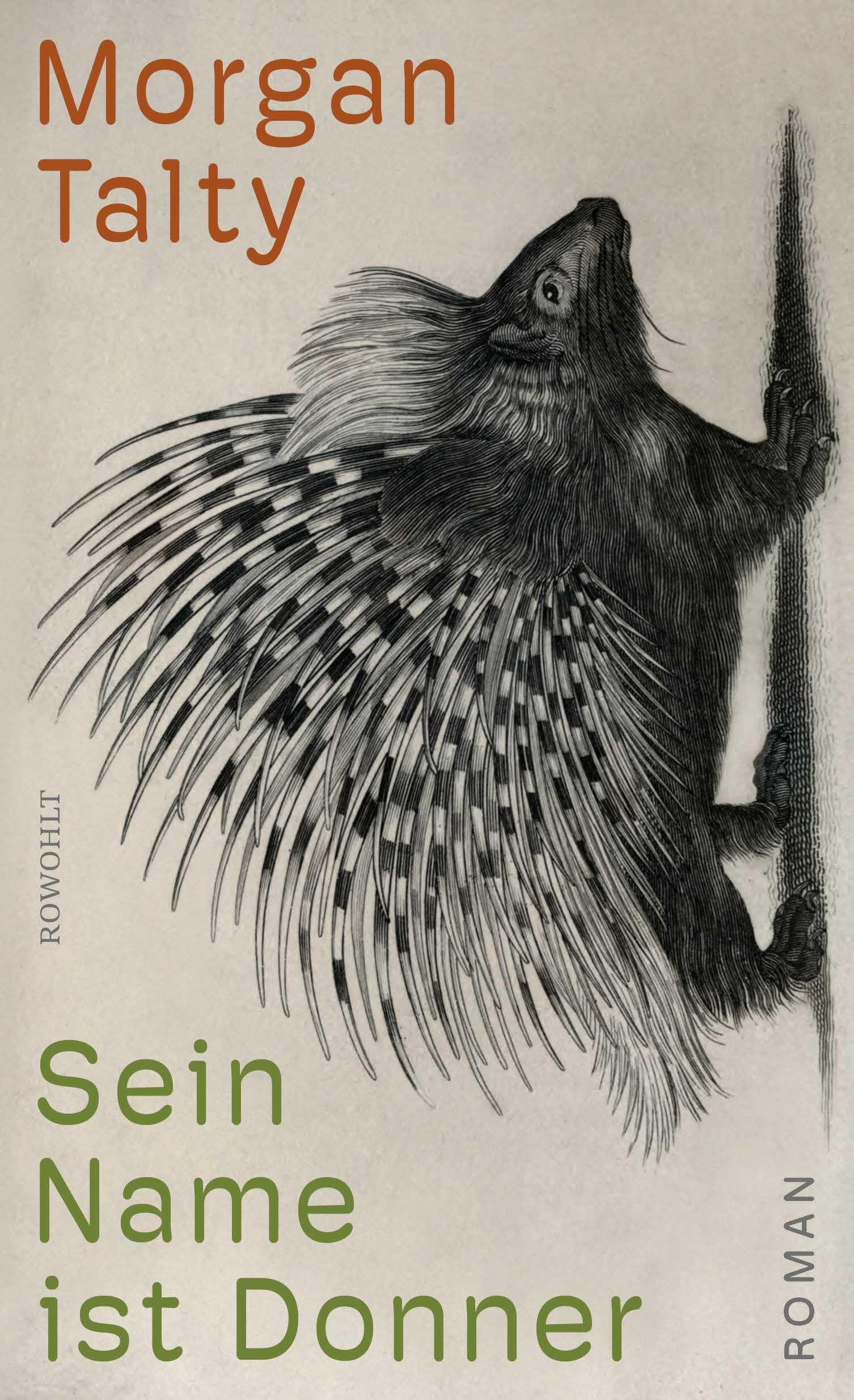 Sein Name ist Donner Social Sciences Books