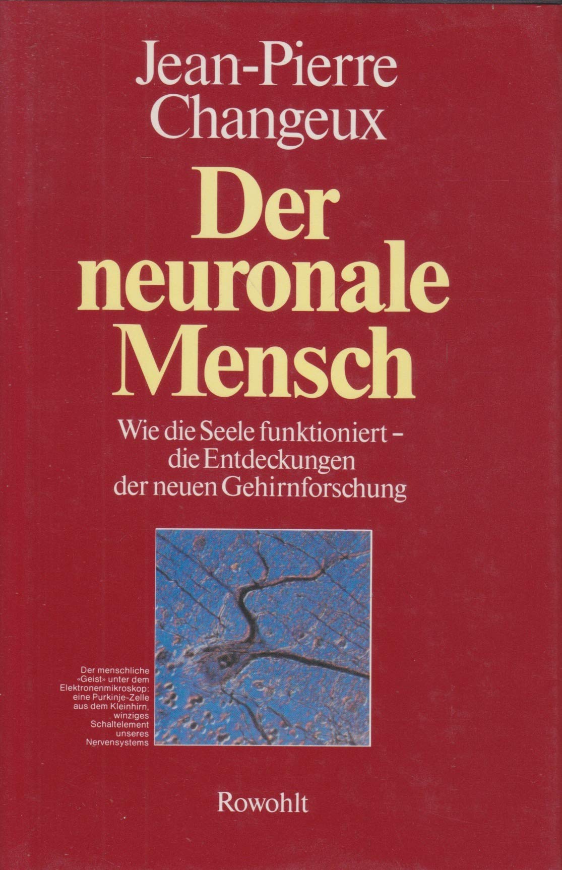 Der neuronale Mensch: Wie die Seele funktioniert: die Entdeckungen der neuen Gehirnforschung Medicine