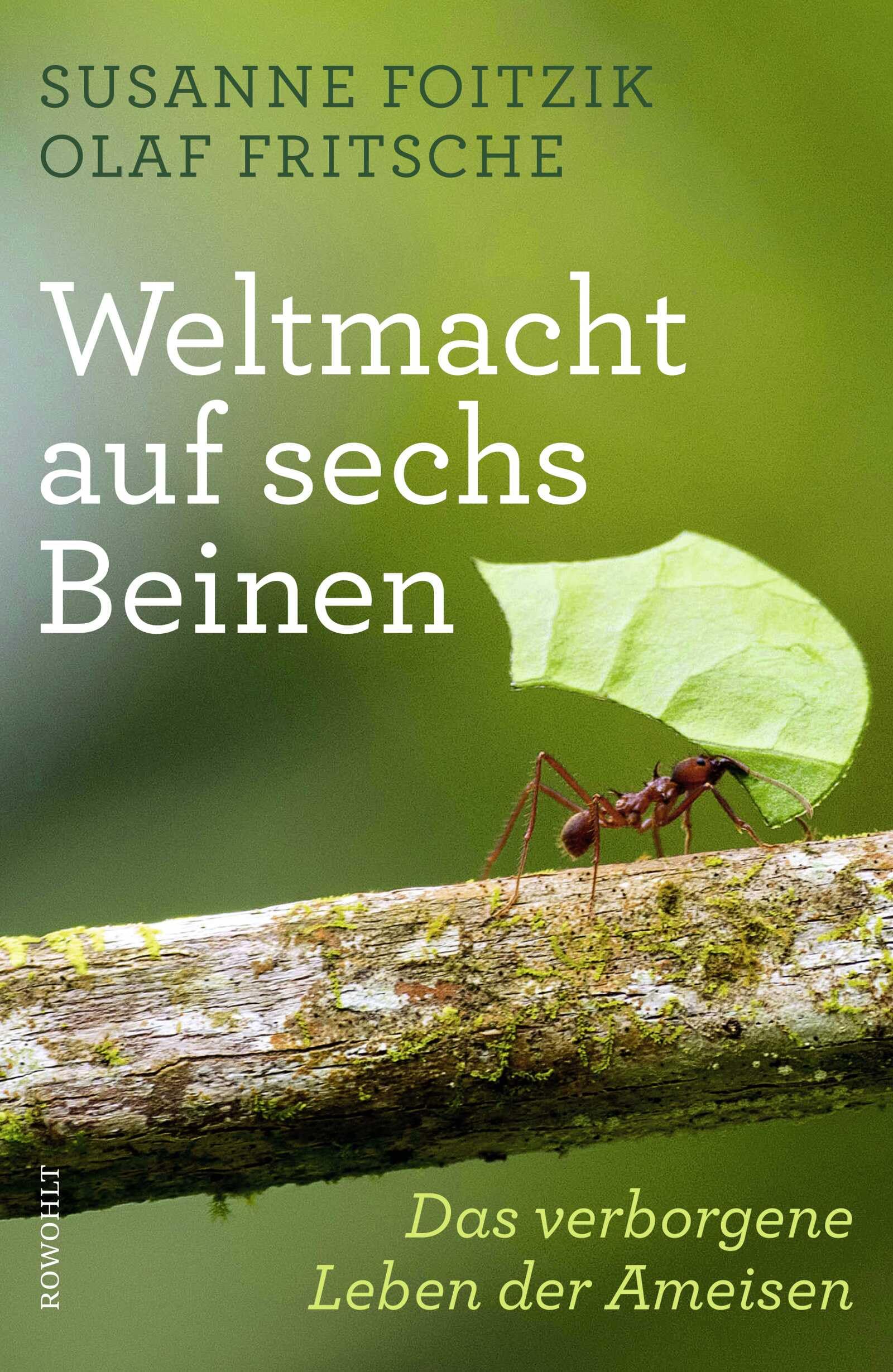 Weltmacht auf sechs Beinen Mathematics