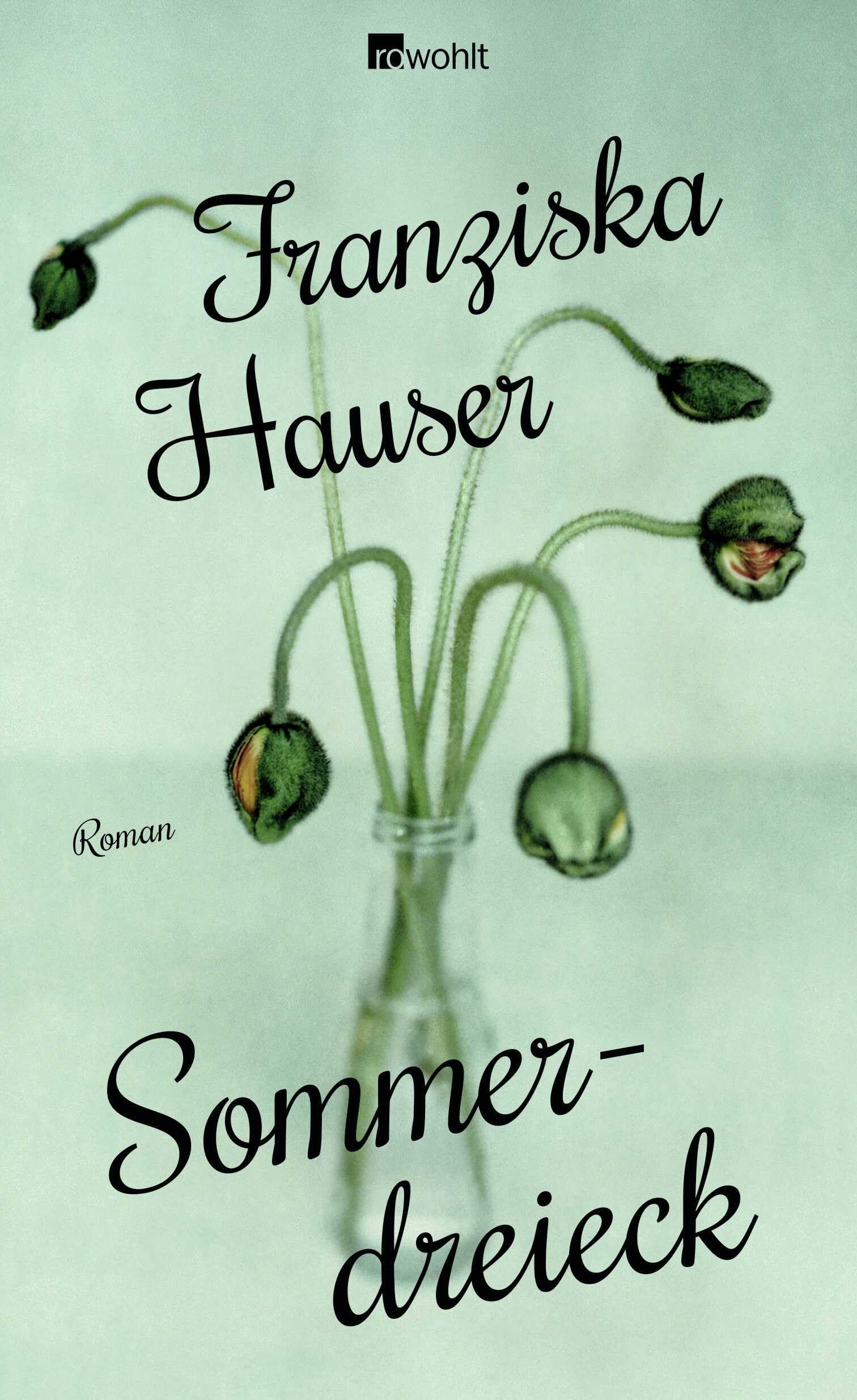 Sommerdreieck Contemporary literature Books