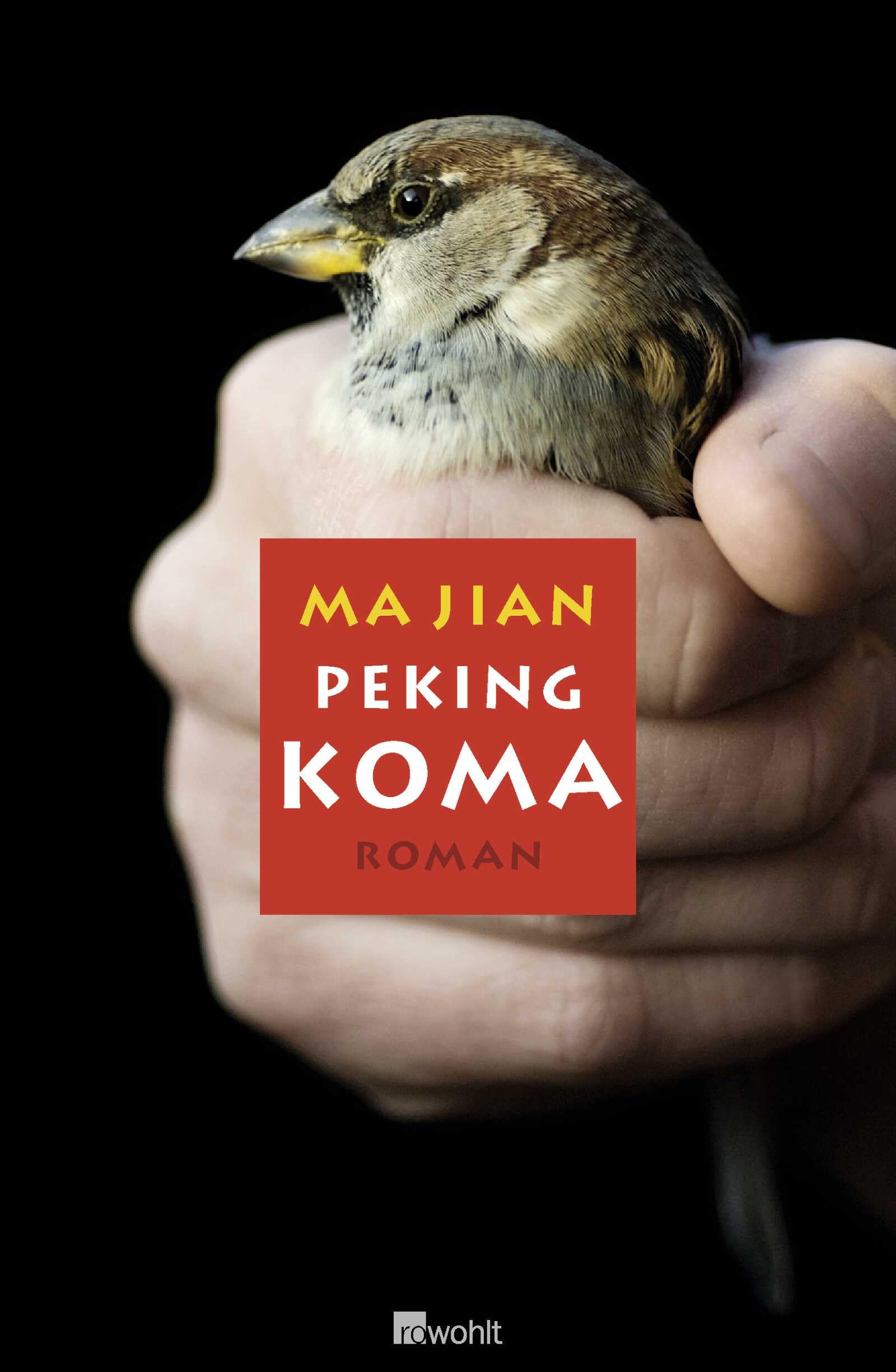Product Image: Peking-Koma