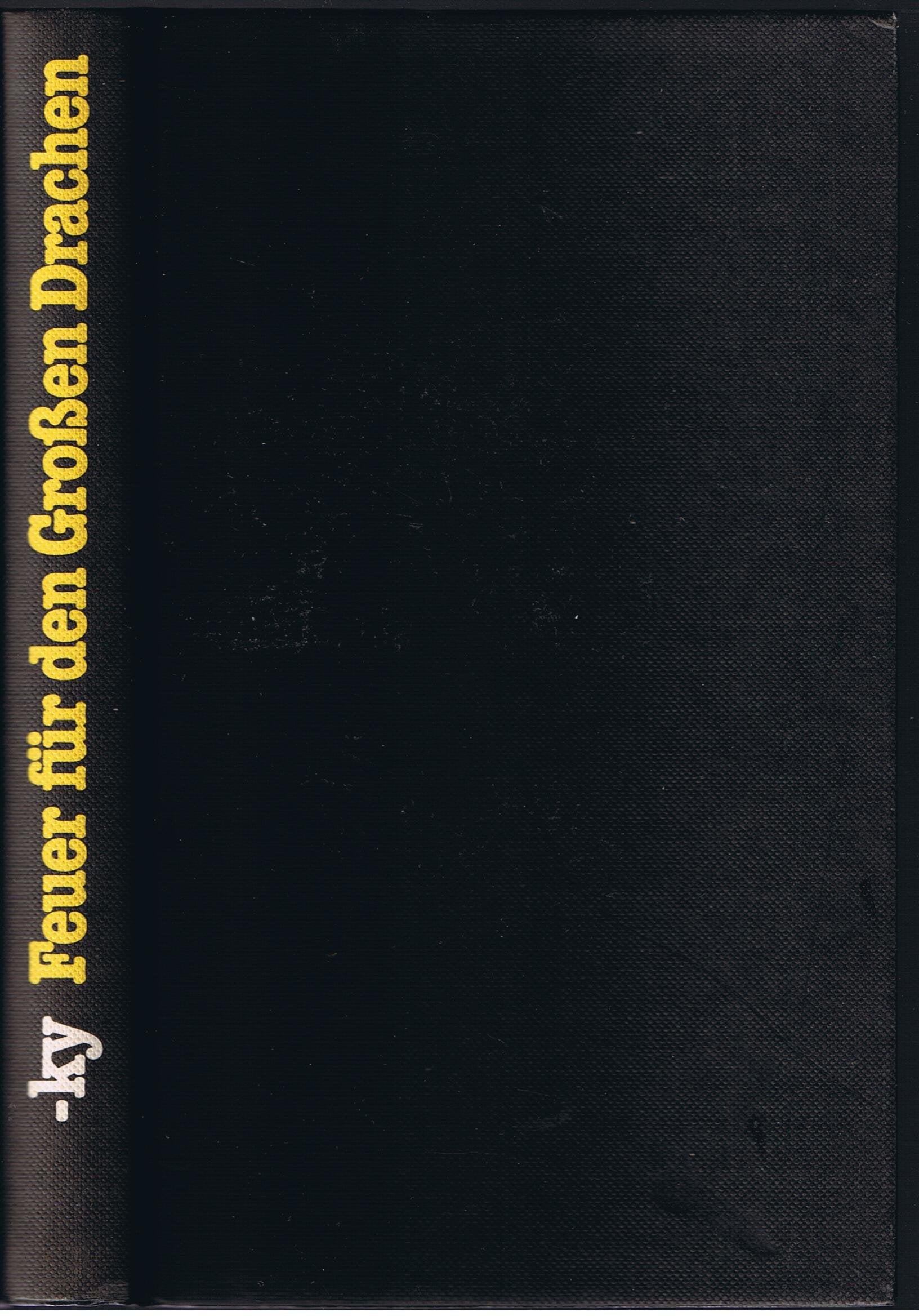 Feuer für den Großen Drachen Contemporary literature