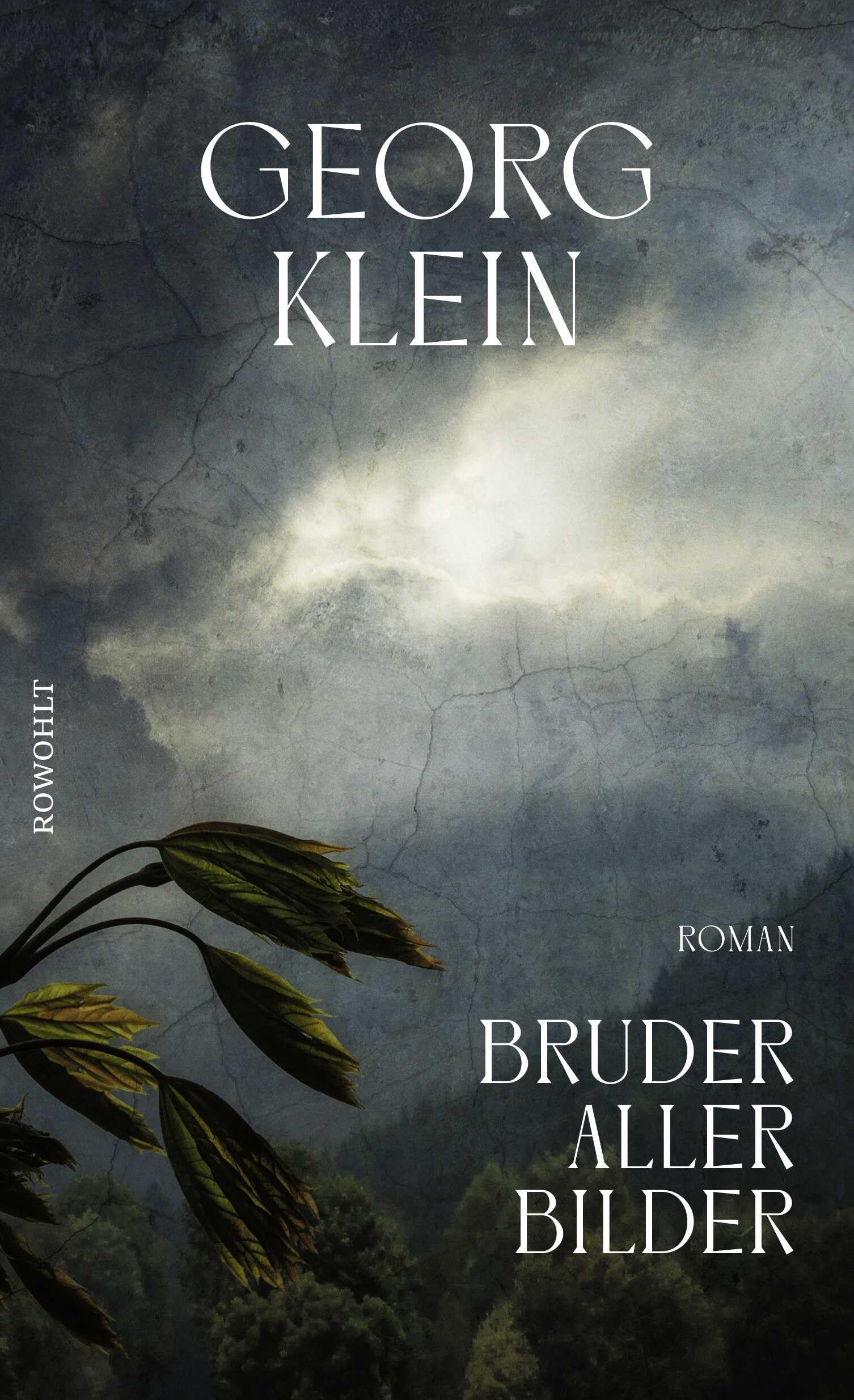Bruder aller Bilder Contemporary literature Books