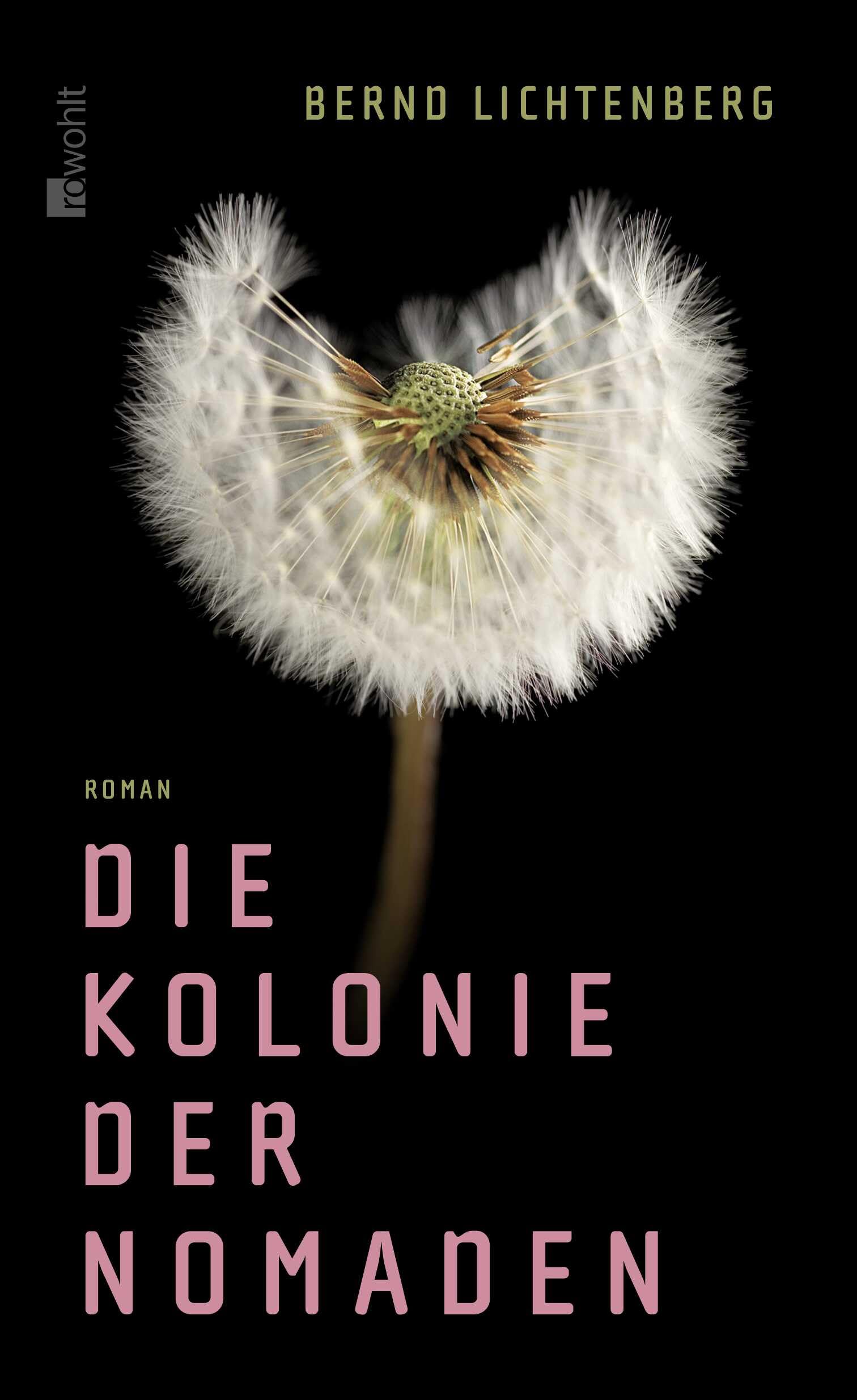 Kolonie der Nomaden: Roman Contemporary literature