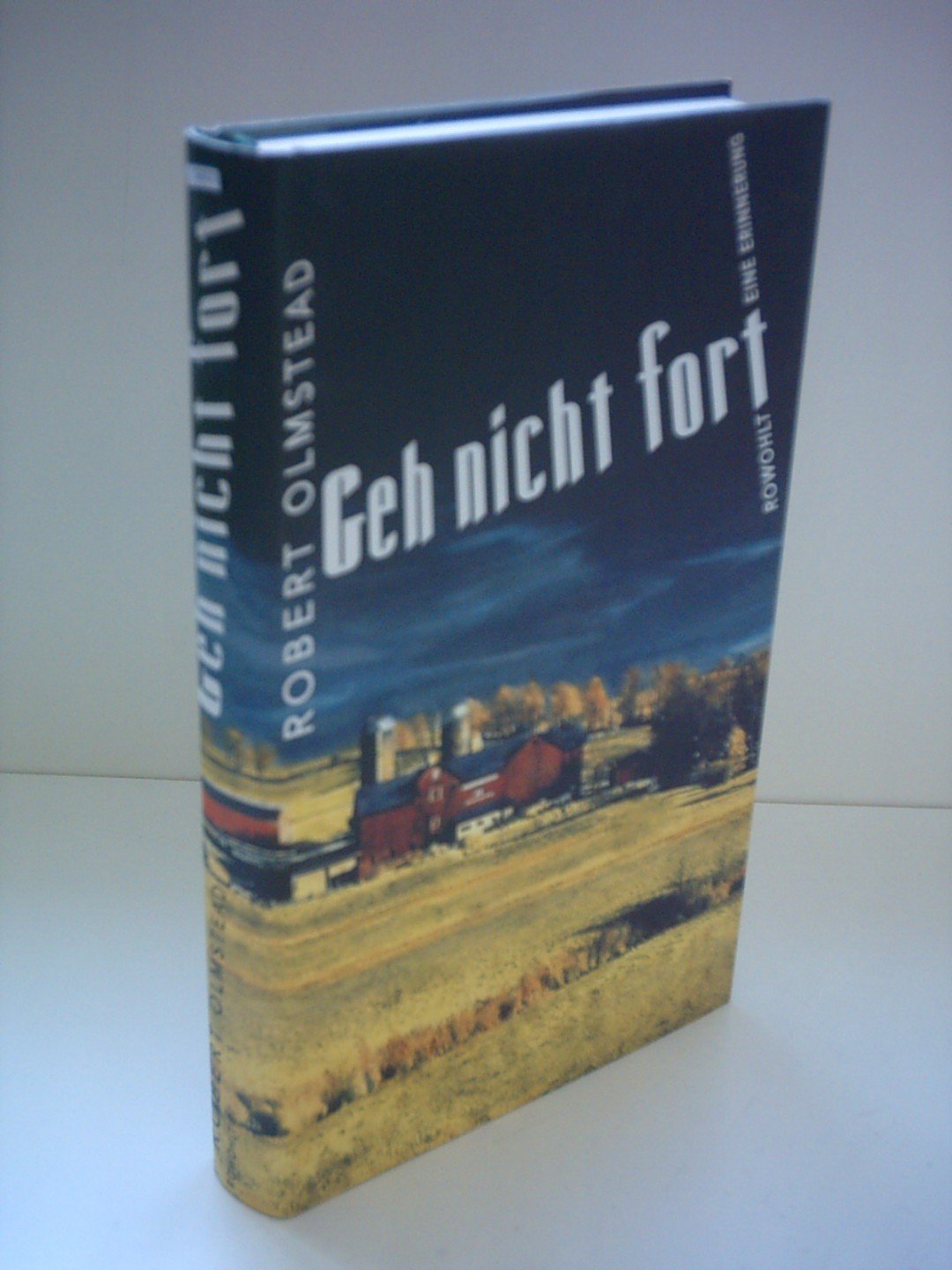 Product Image: Geh nicht fort. Eine Erinnerung