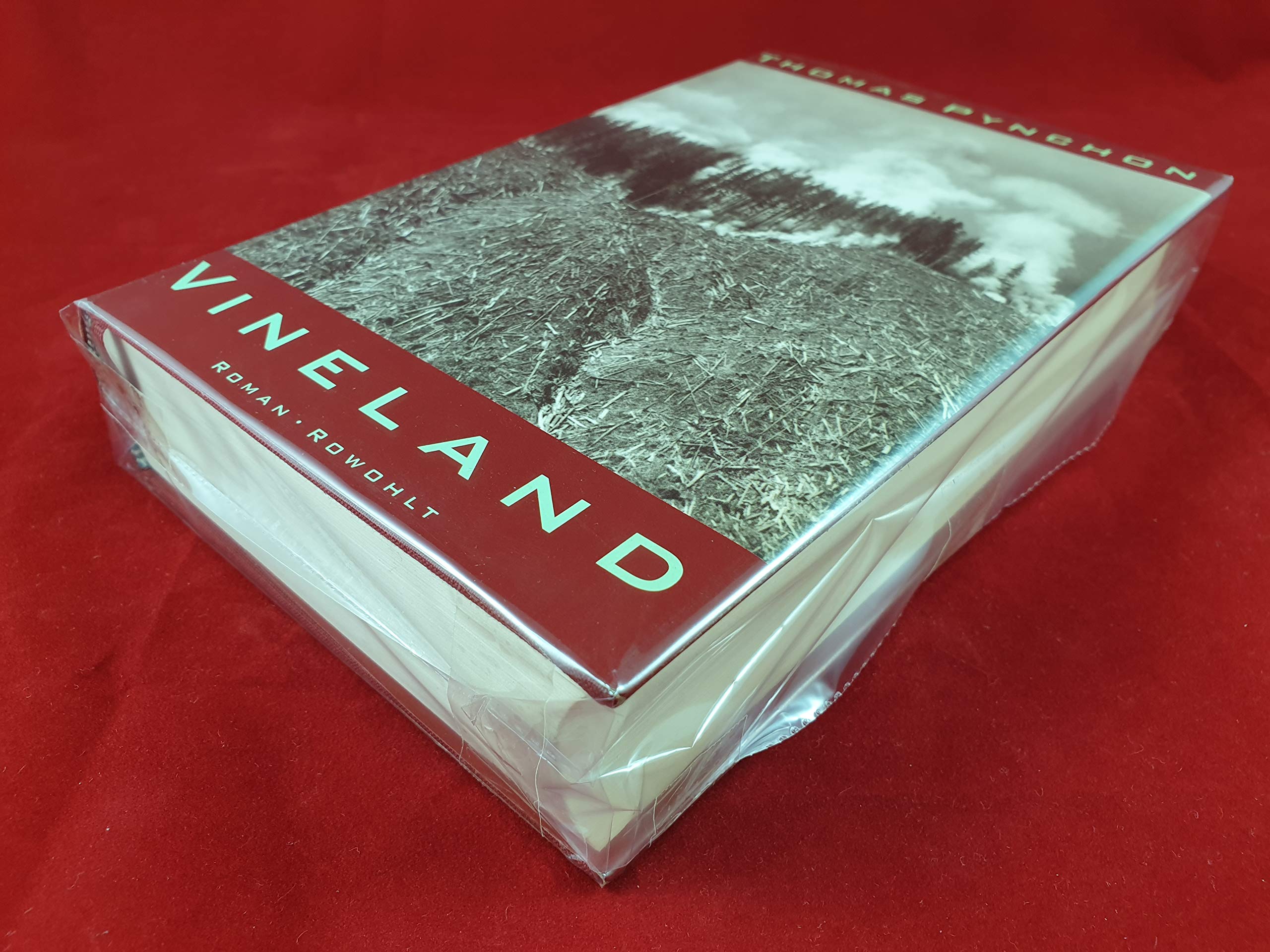 Vineland. Roman Contemporary literature Books