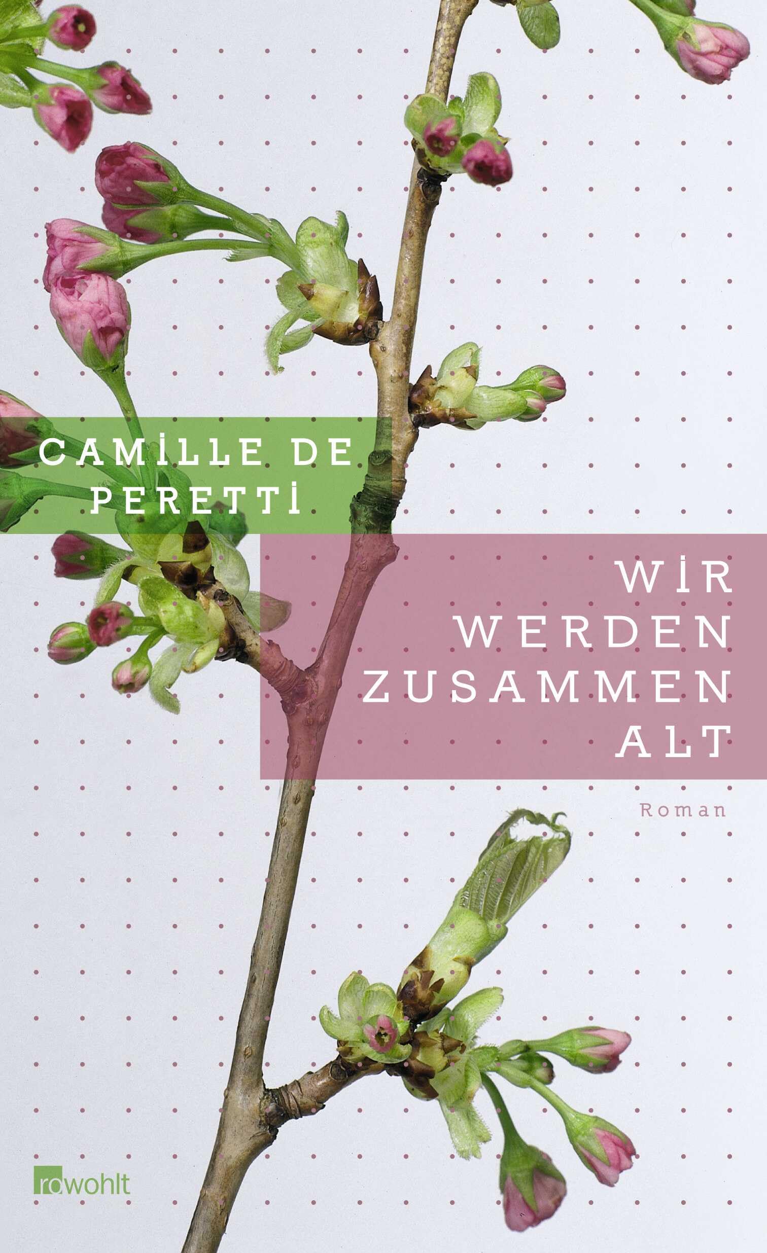Wir werden zusammen alt: Roman Contemporary literature