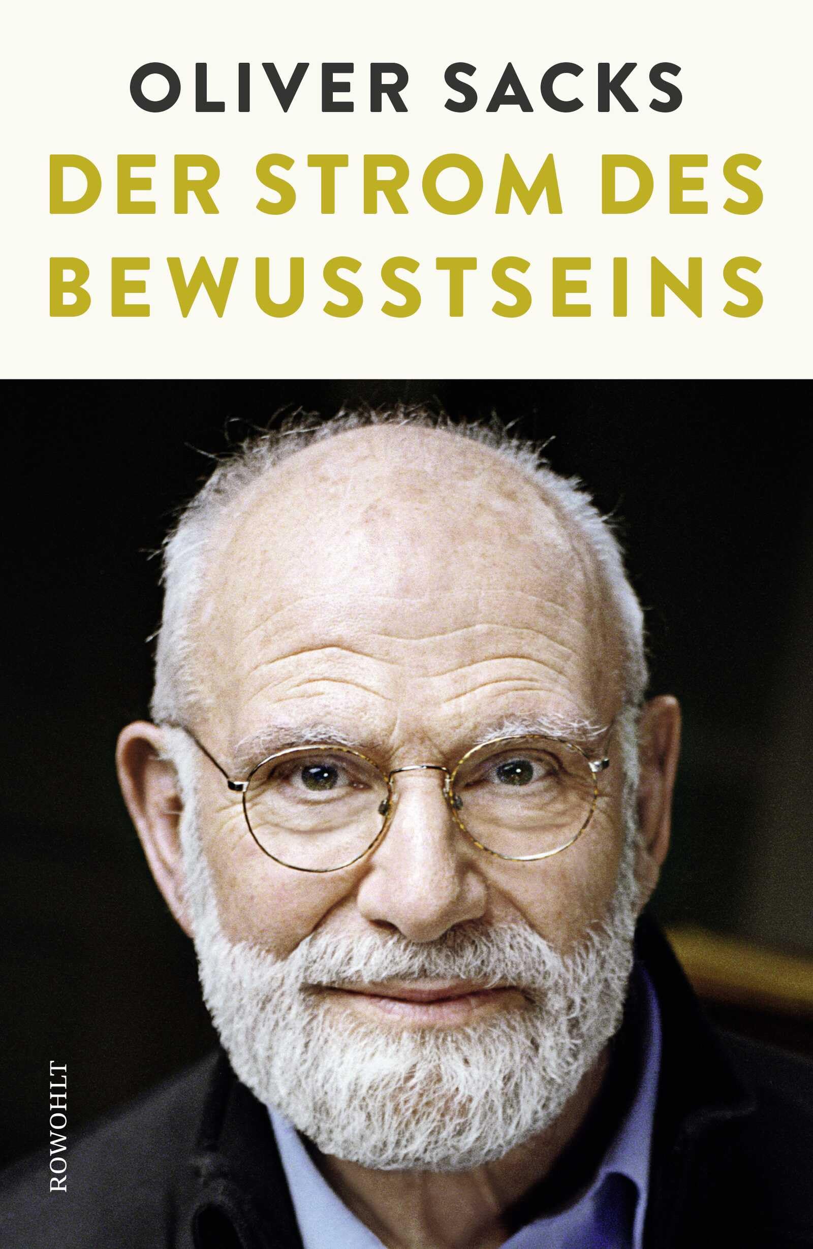 Product Image: Der Strom des Bewusstseins
