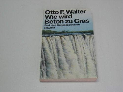 Wie wird Beton zu Gras. Fast eine Liebesgeschichte Contemporary literature