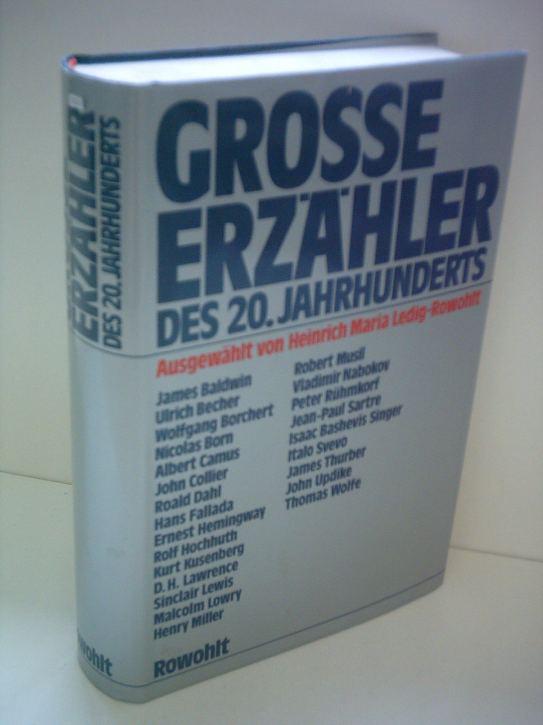 Große Erzähler des 20. Jahrhunderts Books