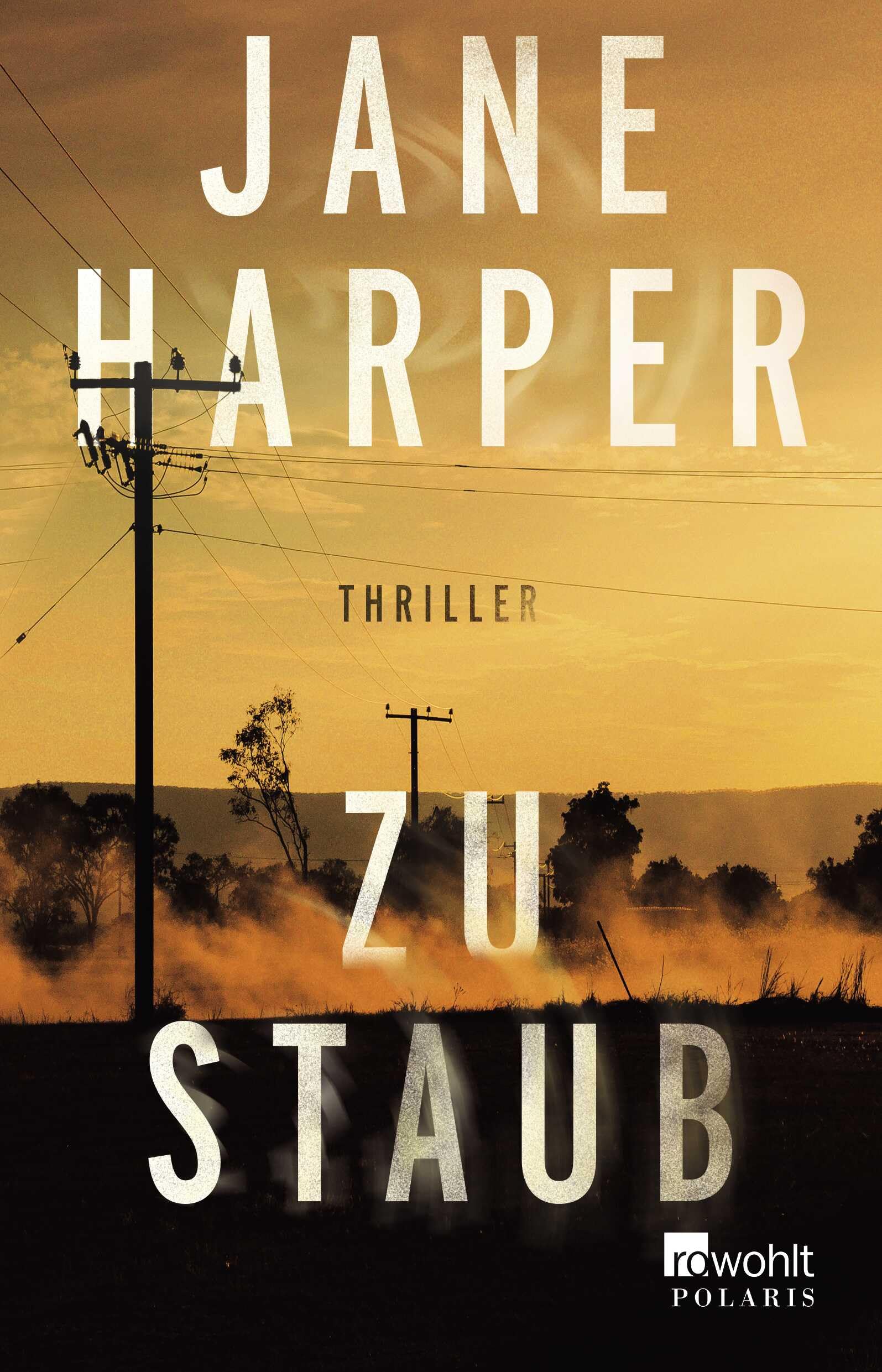 Zu Staub Contemporary literature Books