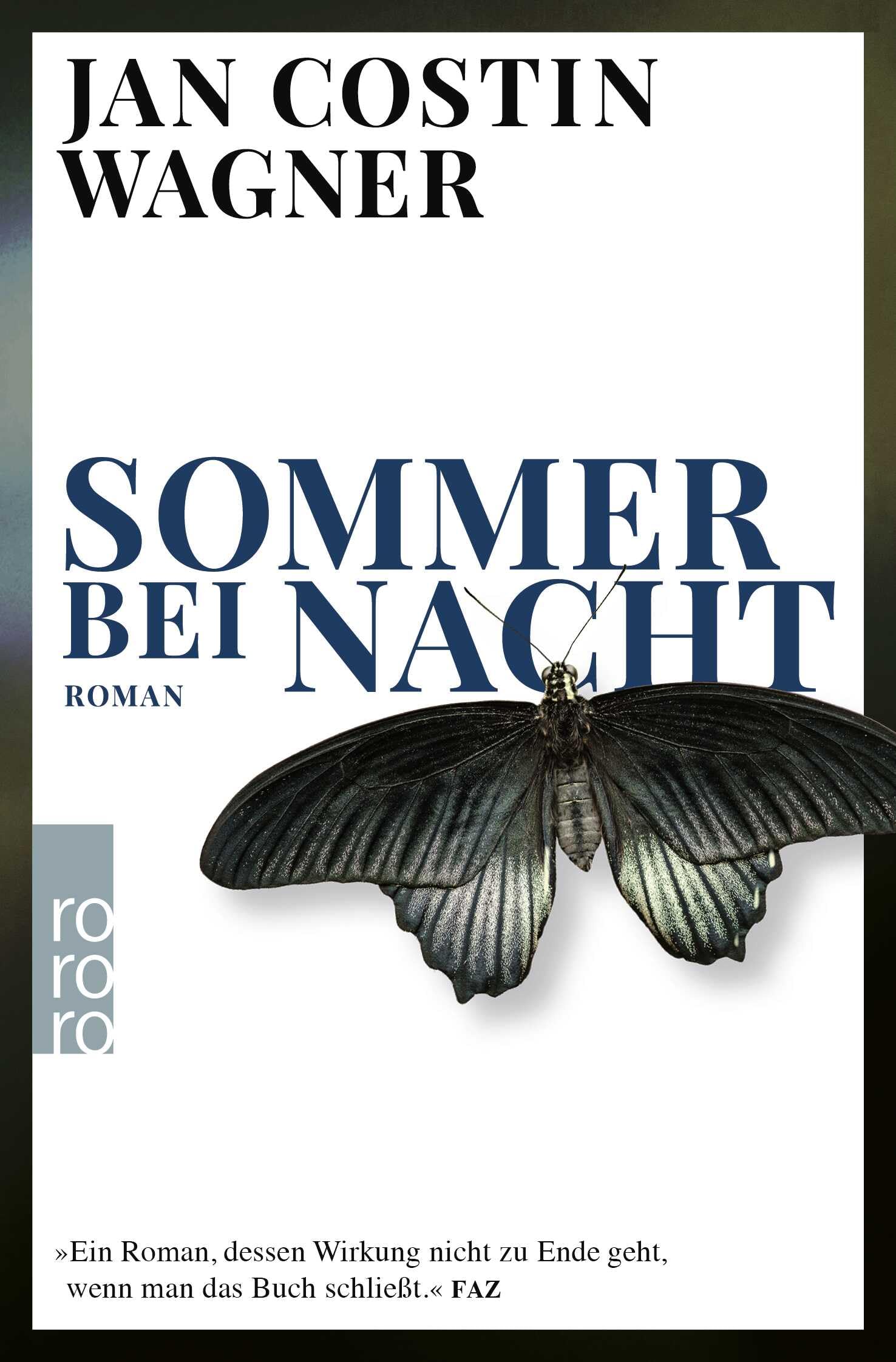 Sommer bei Nacht Contemporary literature