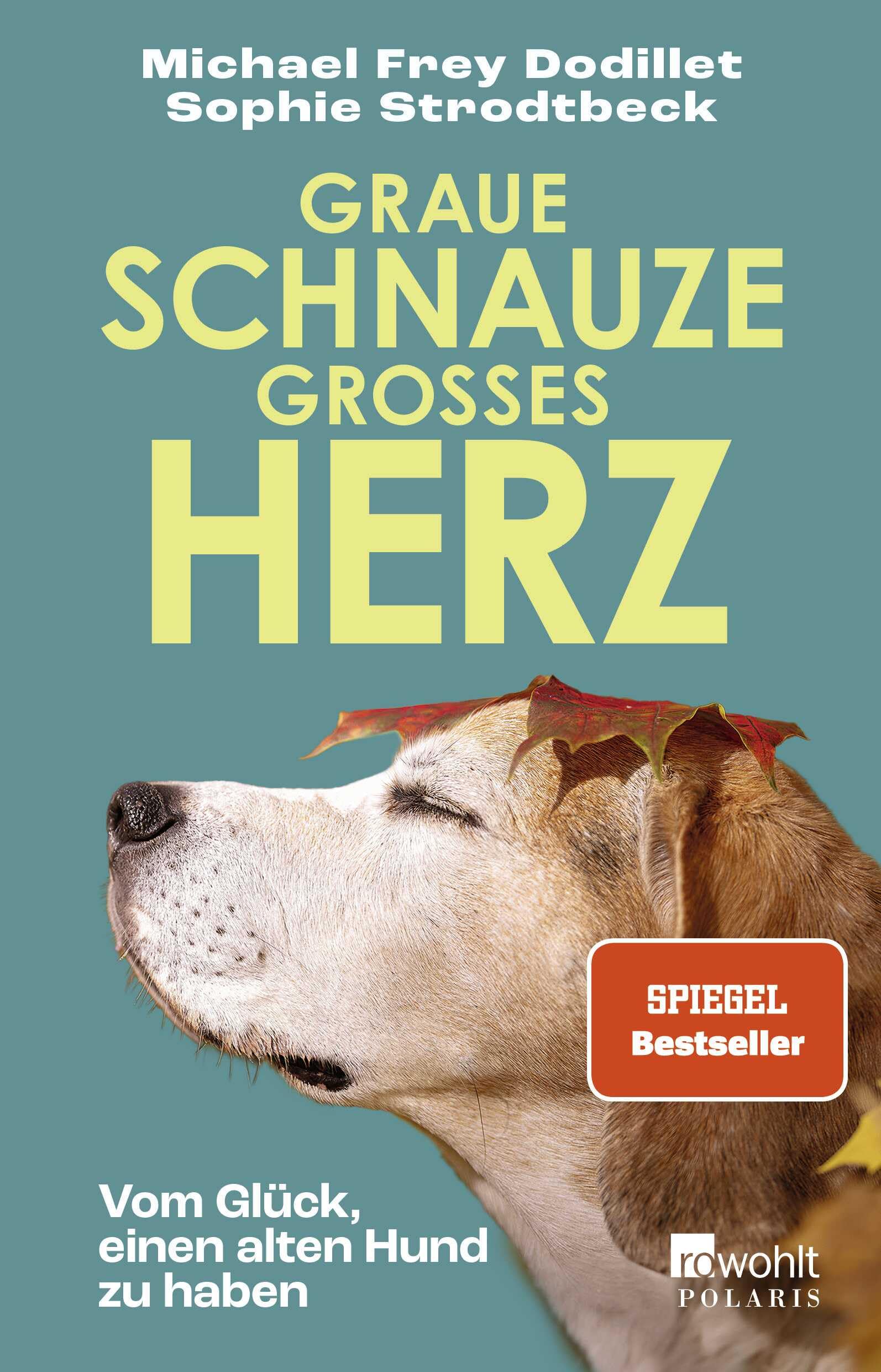 Product Image: Graue Schnauze, großes Herz