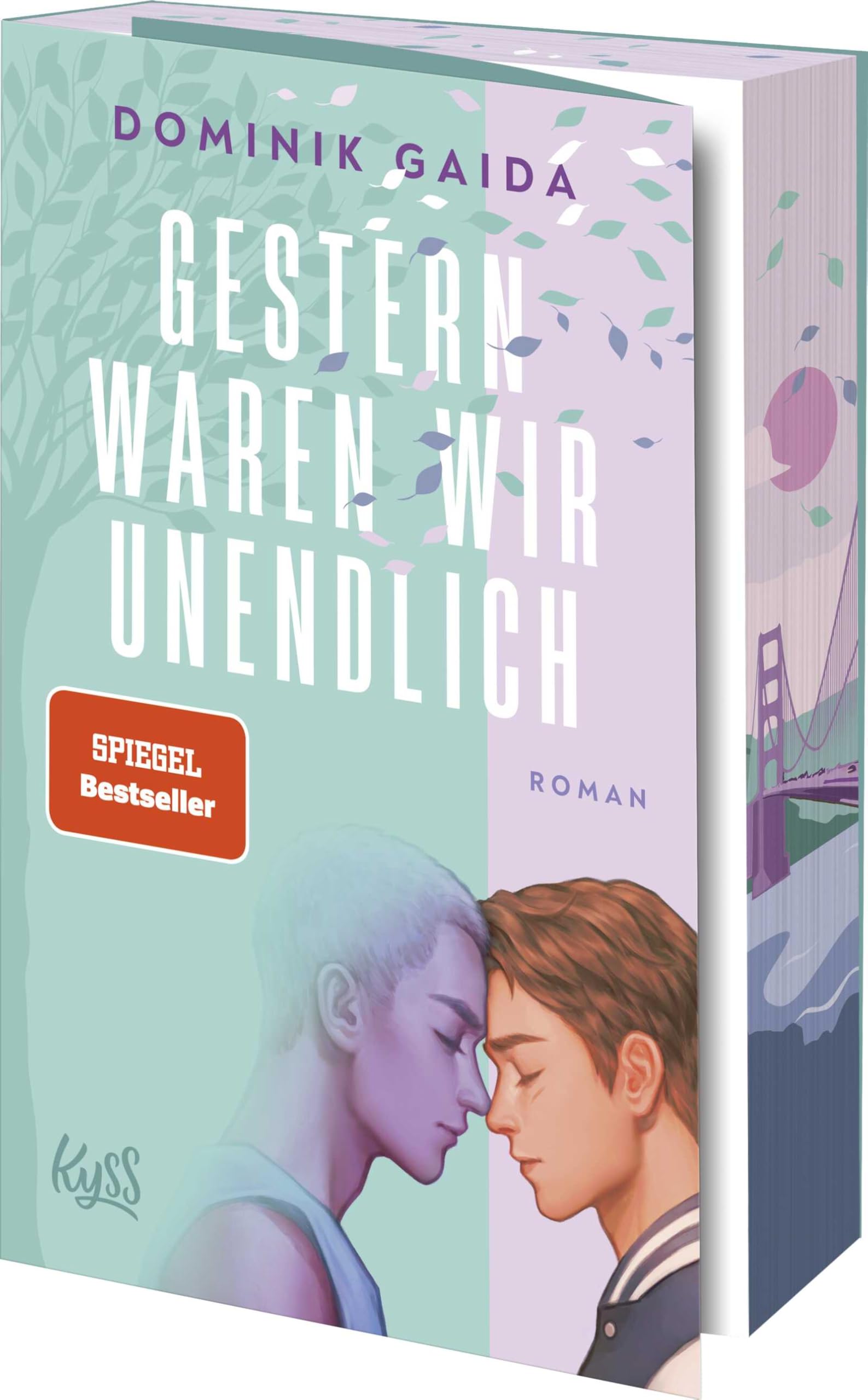 Gestern waren wir unendlich LGBTQ+ Books