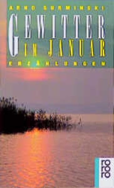 Gewitter im Januar: Erzählungen (rororo: Rowohlts Rotations Romane) Contemporary literature