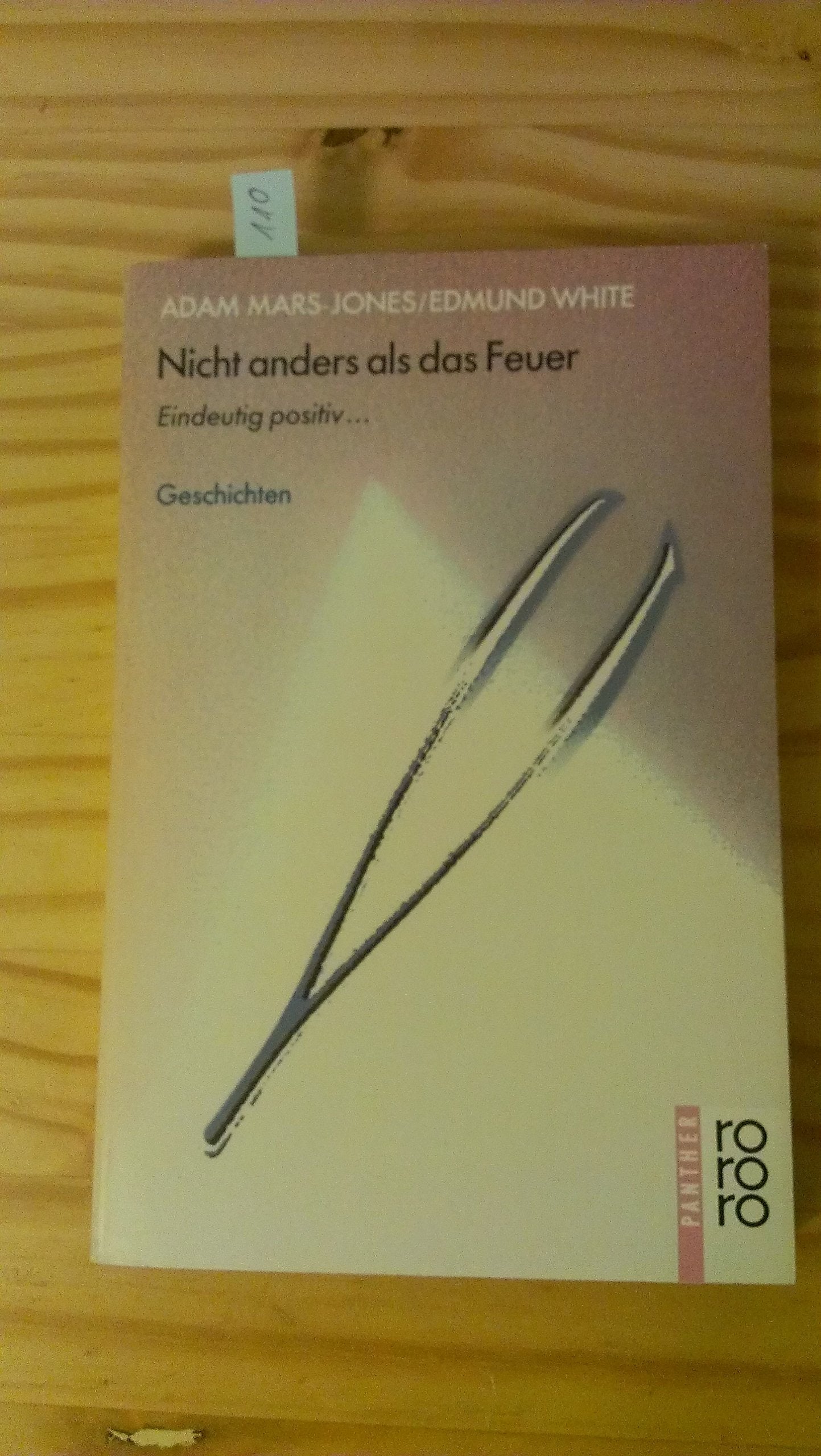 Nicht anders als das Feuer: Eindeutig positiv. Geschichten (rororo panther) Books