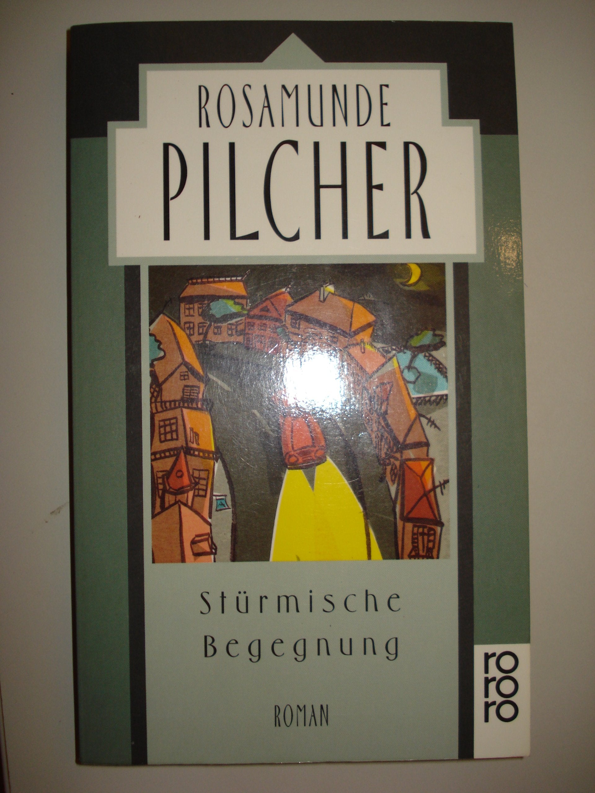 Stürmische Begegnung: Roman Contemporary literature
