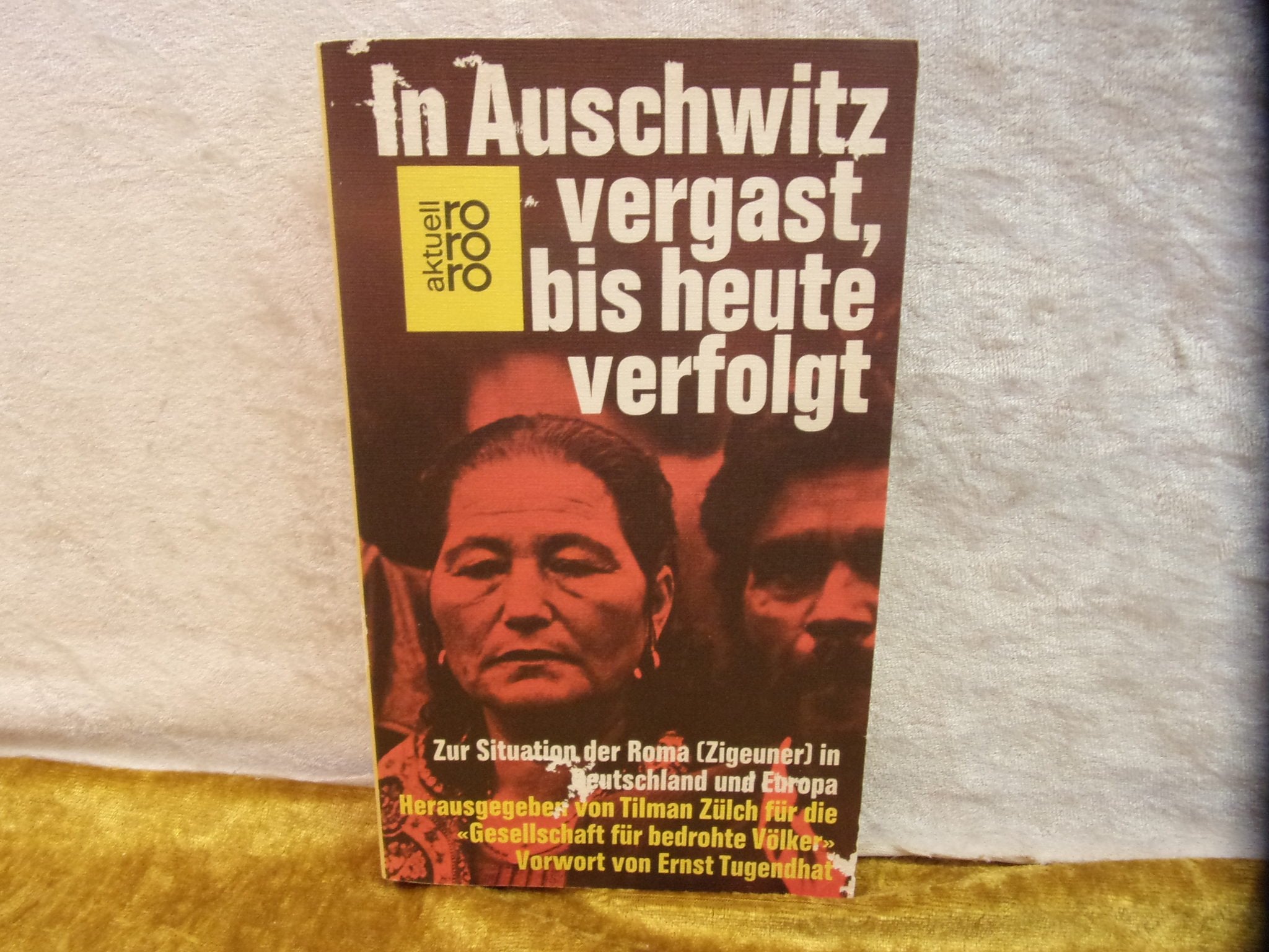 In Auschwitz vergast, bis heute verfolgt. Zur Situation der Roma (Zigeuner) in Deutschland und Europa German history