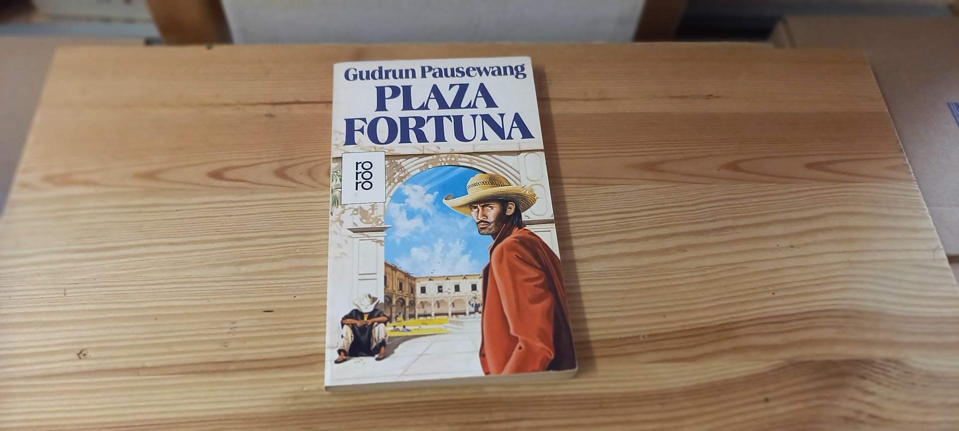 Plaza Fortuna (rororo: Rowohlts Rotations Romane) Books