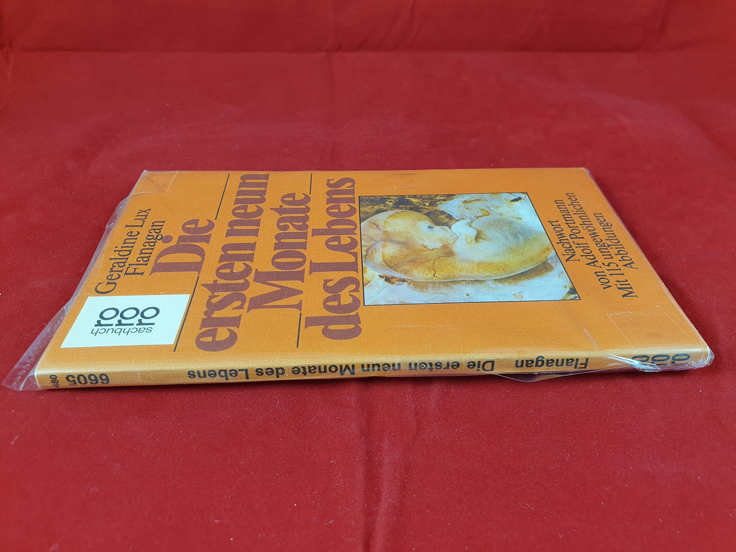 Die ersten neun Monate des Lebens. book