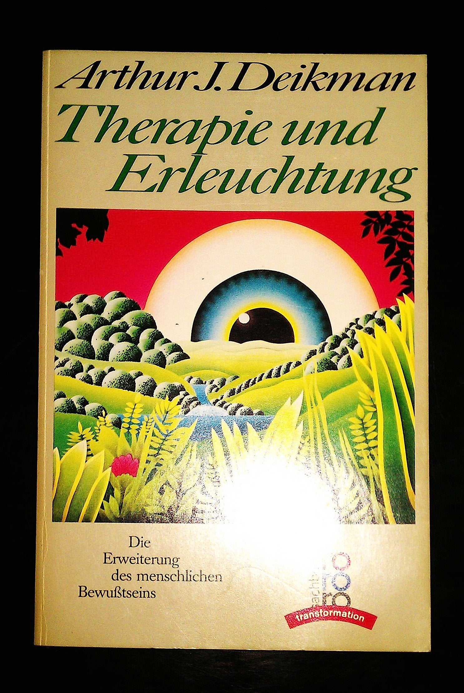 Therapie und Erleuchtung: Die Erweiterung des menschlichen Bewußtseins Psychology