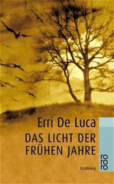 Das Licht der frühen Jahre Contemporary literature